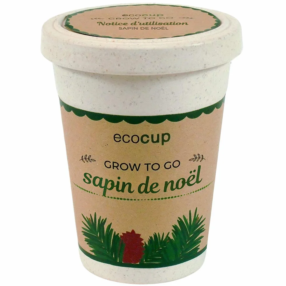 Feel Green Ecocup, Épicéa (Sapin de Noël), Idée Cadeau (100% Ecologique), Grow-Your-Own/Kit Prêt-à-Pousser, Plantes Dans Coffee Cup 10 x 8 cm, Produit En Autriche