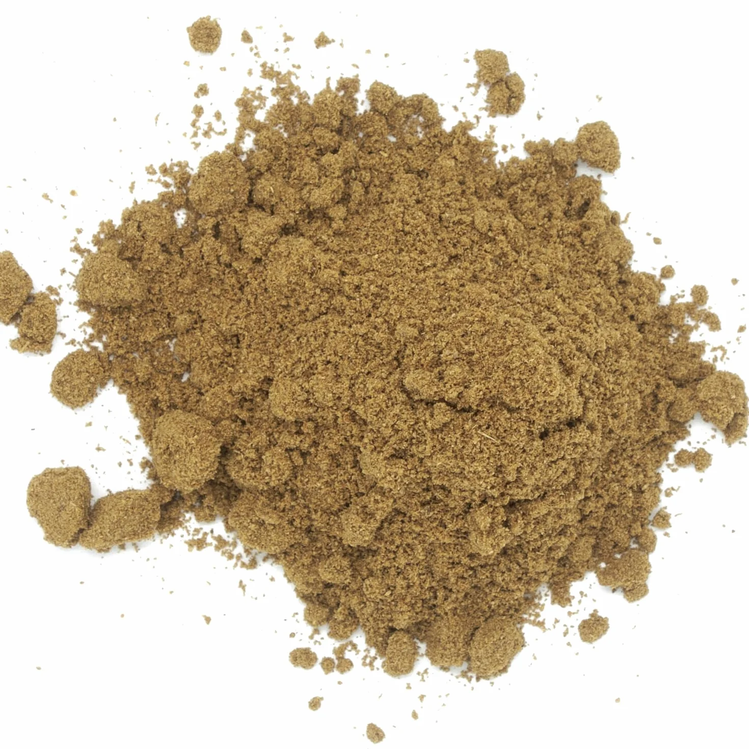 Céleri brun en poudre (graines) - Sachet de 1 kg