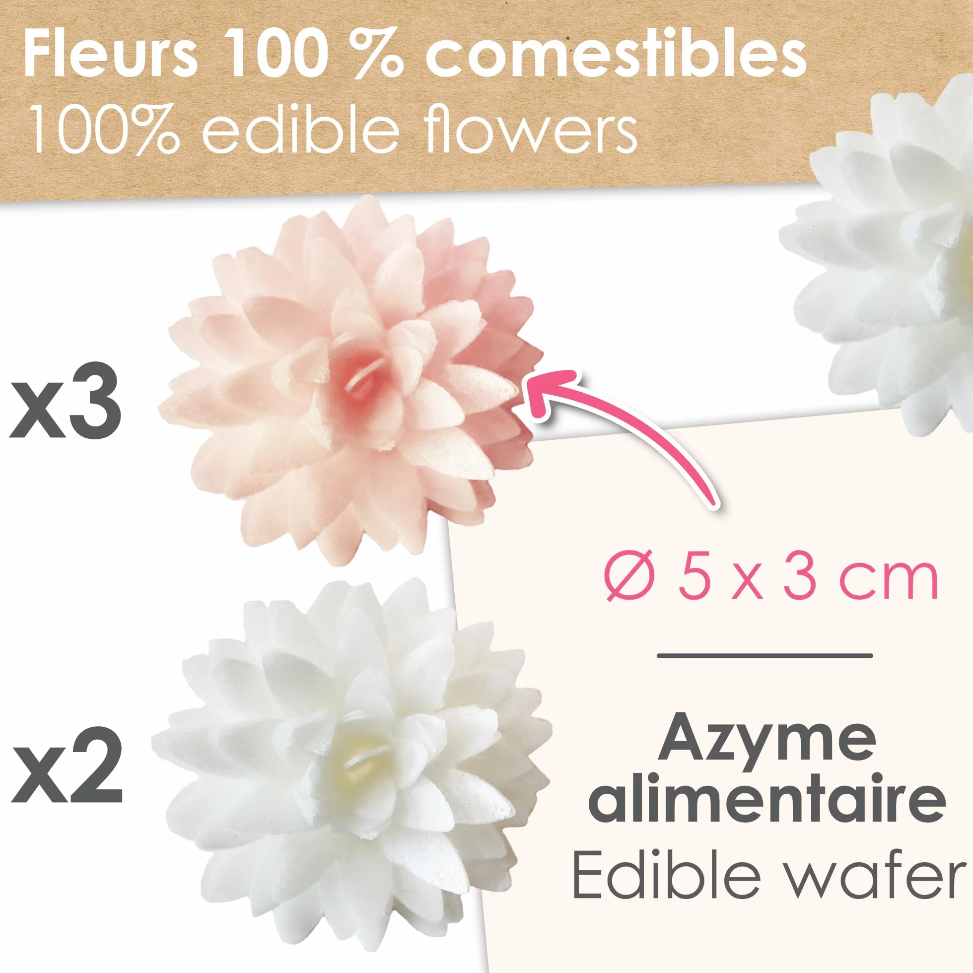 ScrapCooking - 5 Dahlias Blancs & Rose Pastel en Azyme - Fleurs Comestibles Décoration Gâteau - Déco Pièce-Montée, Cupcakes, Pâtisseries - Anniversaire, Mariage - 2297