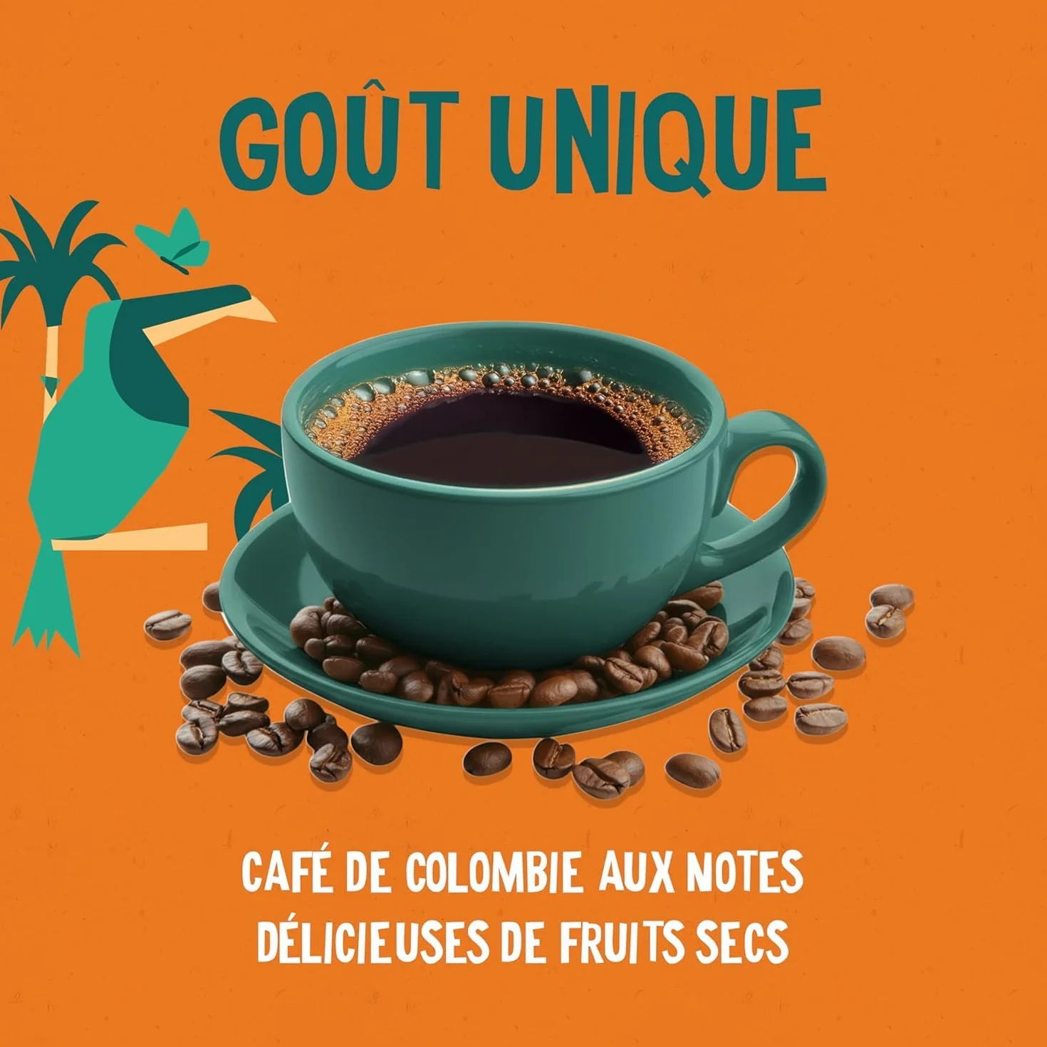 ALTER ECO - Café Grains - Café Arabica Bio de Colombie - Issu du Commerce Equitable - 1 kg