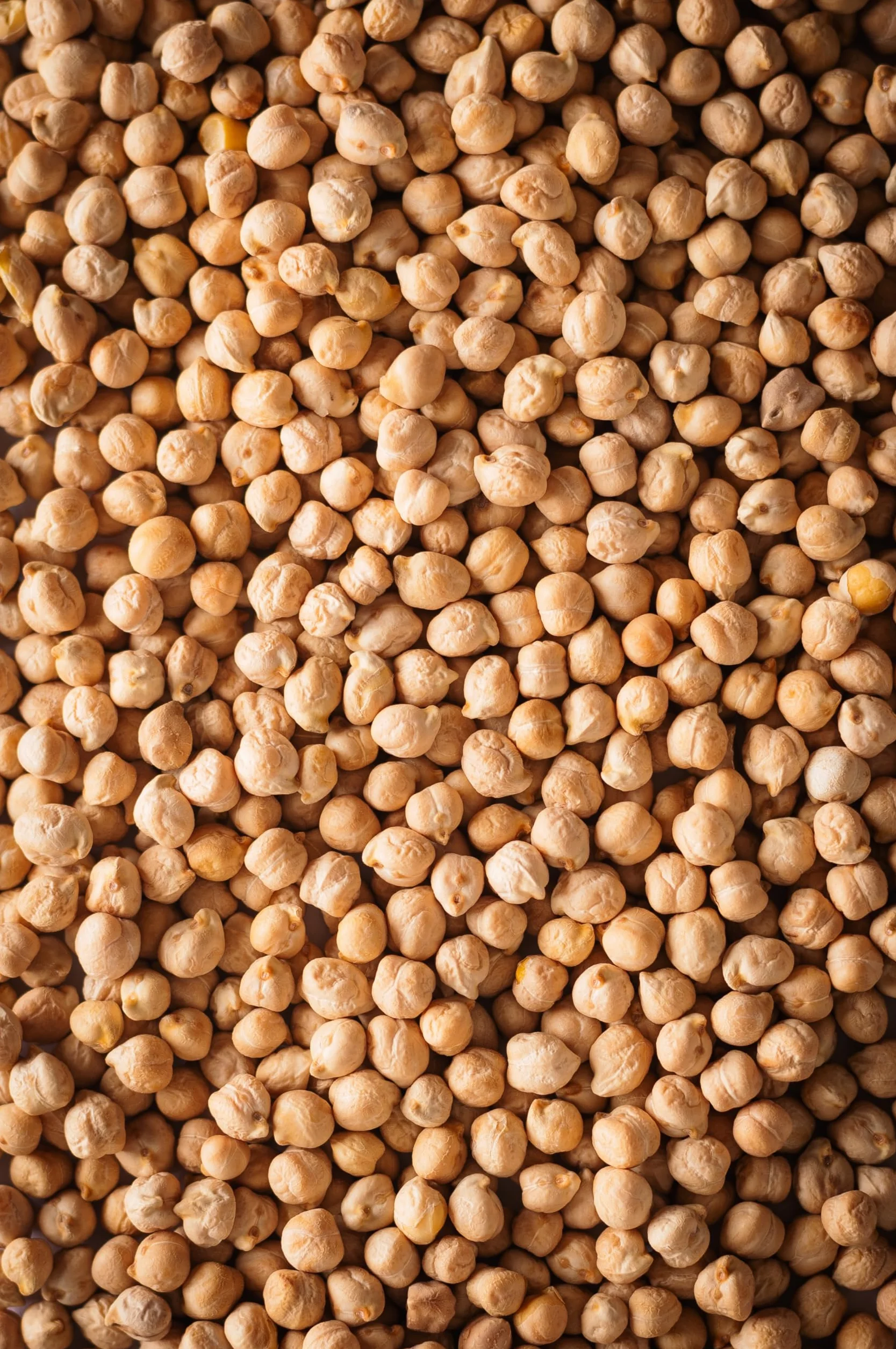 Biojoy Pois chiches BIO (2,5 kg), séchés et entiers, sans additifs