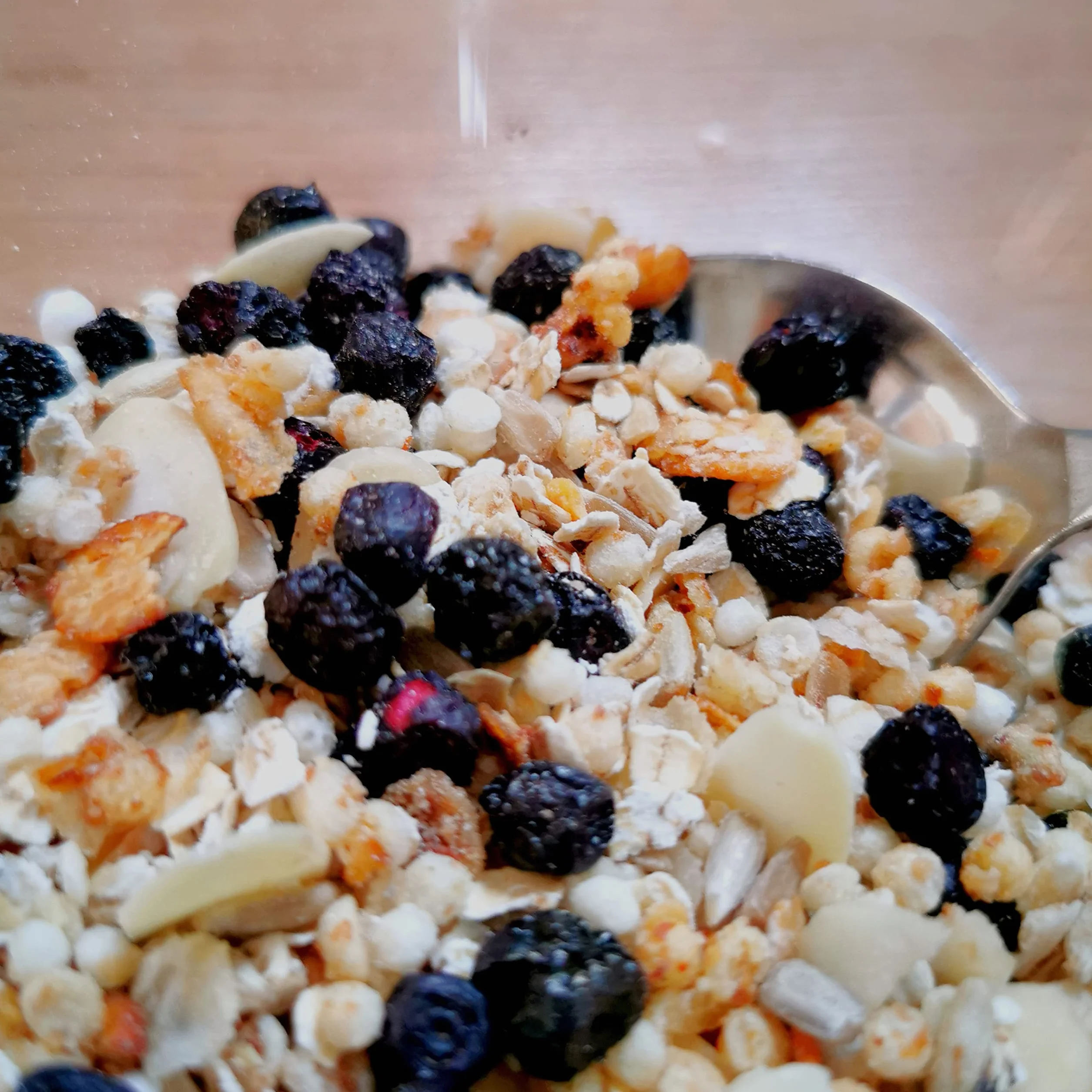 Myrtilles Séchées Bleuet Sauvage | Naturel Fruits Seche | Freeze Dried Fruit Wild Blueberries | Gefriergetrocknete wilde Heidelbeeren | Myrtilles Sechees ZingyZoo (100g)