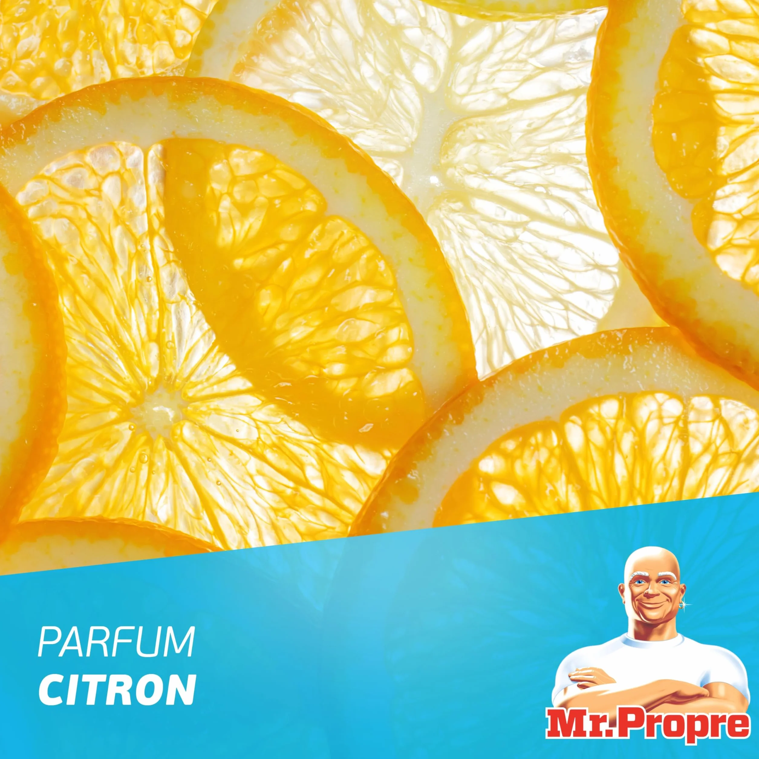Mr. Propre Spray Dégraissant Cuisine Multi-Usages Citron 500ml x10 | Grand format (500ml). Élimine la Graisse Sans Résidus Dangereux, Sans Traces, Convient aux Surfaces Alimentaires