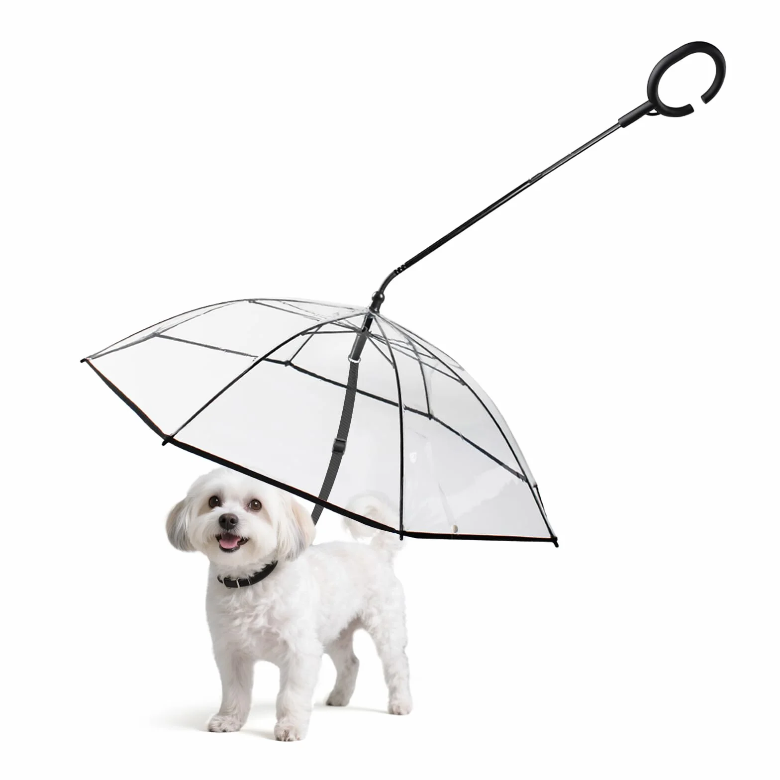 Parapluie imperméable pour chien laisse réglable neige promenade