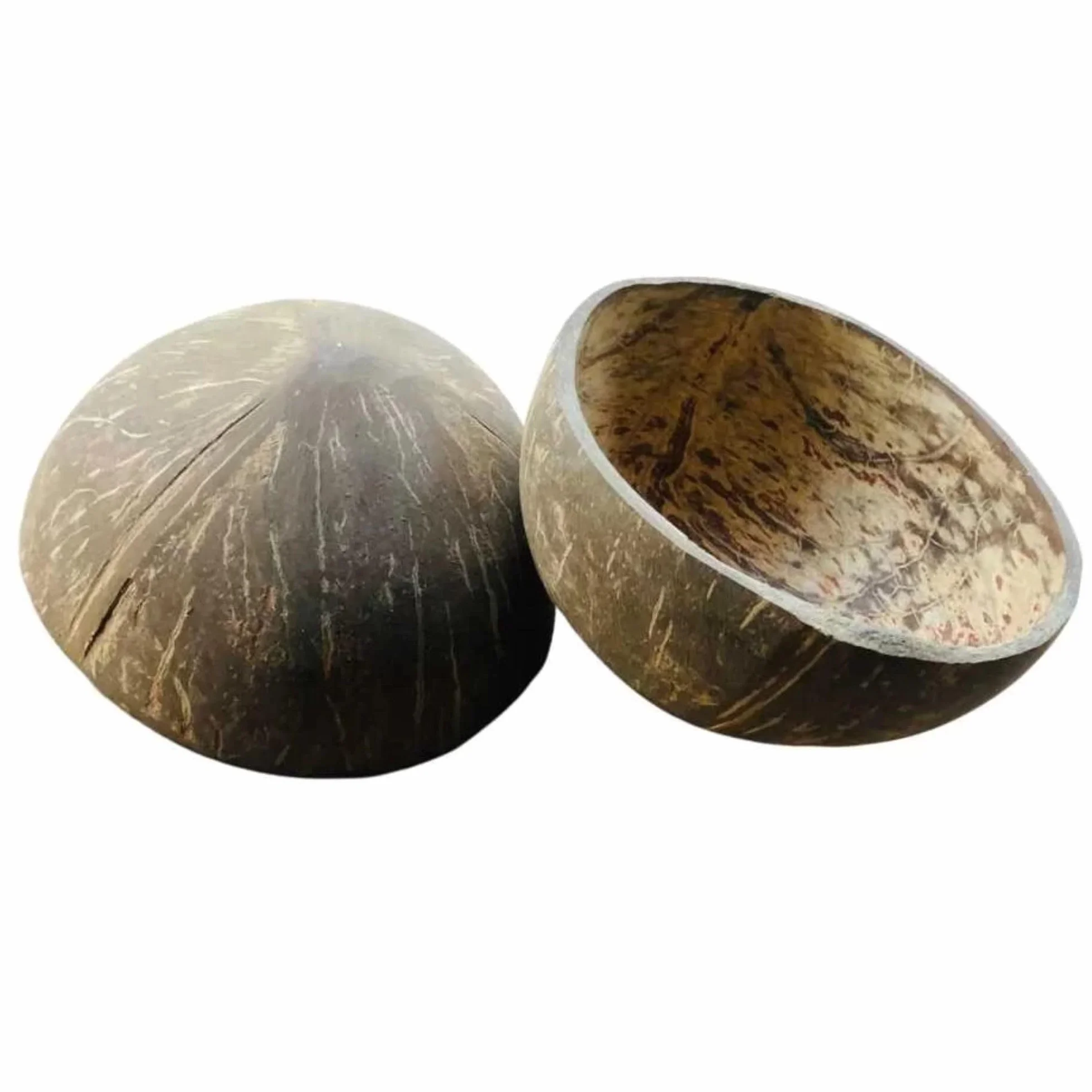 Deux moitiés de coquille de noix de coco KC Creations