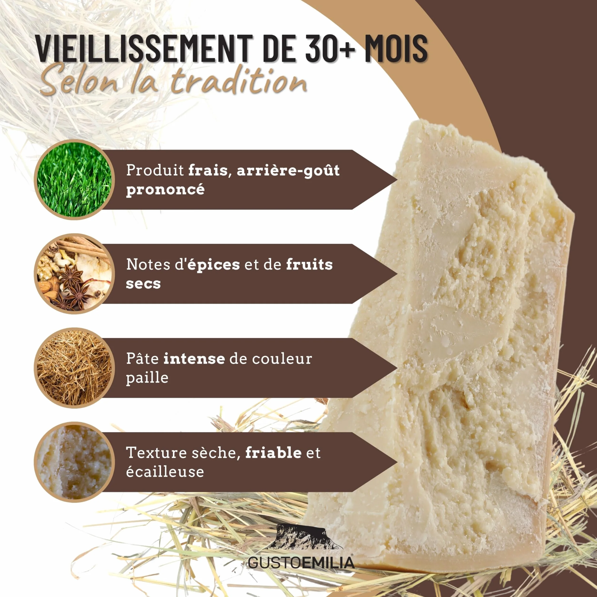 GUSTOEMILIA Montagne Parmigiano Reggiano Fromage 30 Mois Affiné - Idéal pour les Pâtes, le Pain, les Salades, les Collations et les Fruits - Fromage Parmesan Affiné Italien 1,1 lb (500g)