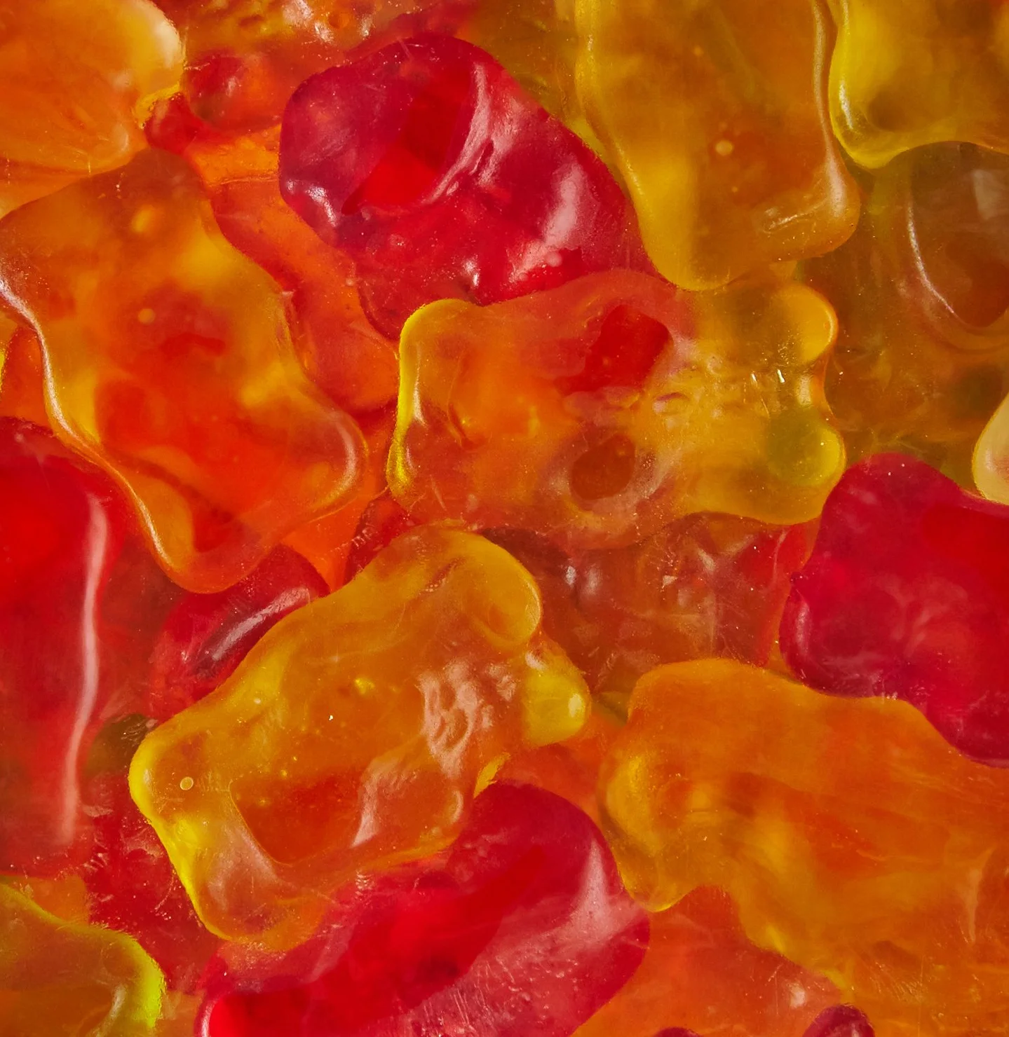 Haribo Bonbon Gélifié l'Ours d'Or 2 kg