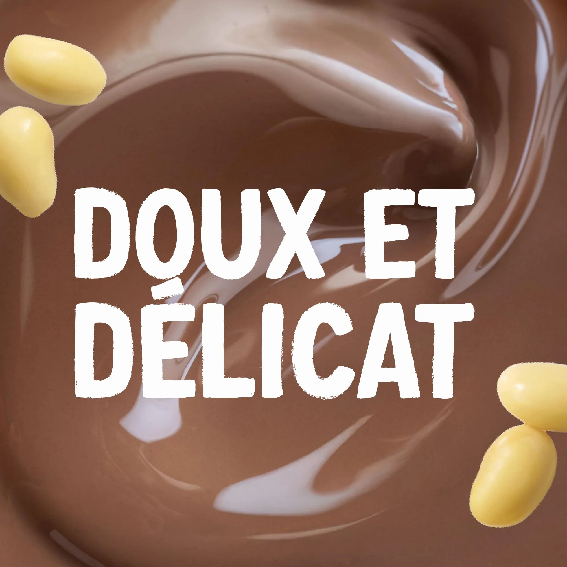 Alpro - Boisson végétale - Soja protéine goût chocolat- 1L- Lot de 8x1L