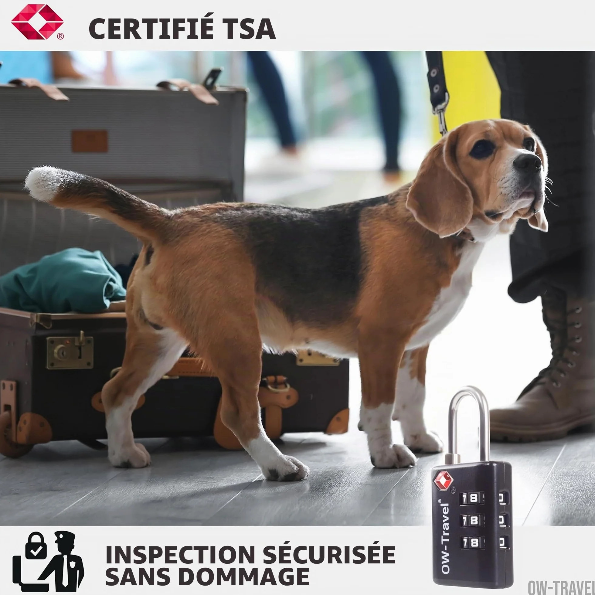 Cadenas TSA pour Valise avec Indicateur d'Ouverture, Code 3 Chiffres Antivol Bagages Avion