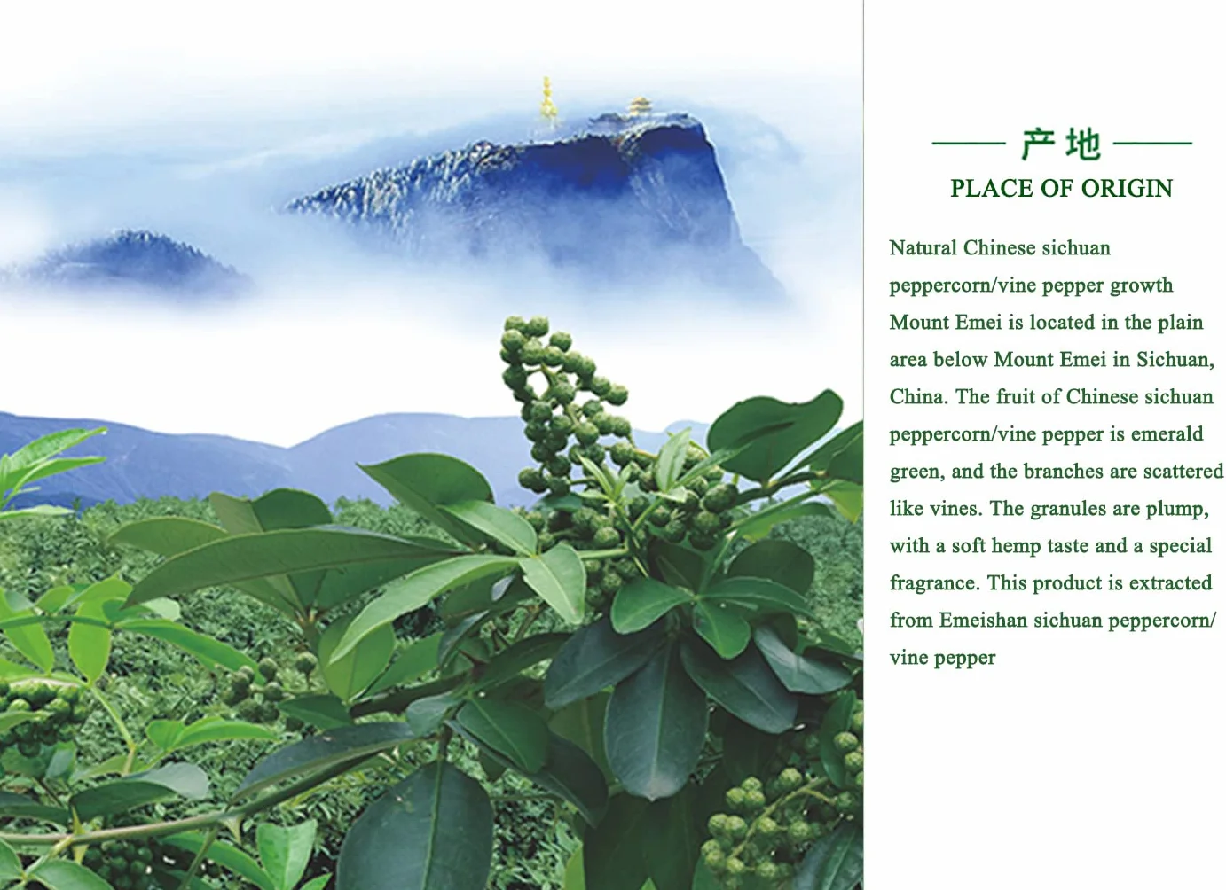 Wanfo huile de baies de poivre vert du Sichuan 60ml huile de piment vert/vine pepper oil/Tengjiaoyou