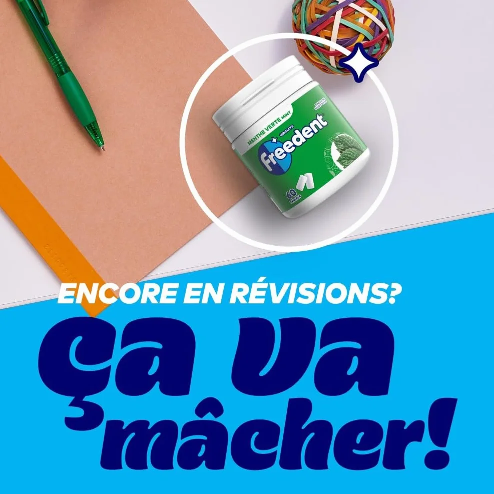 FREEDENT Chewing Gum Sans Sucre Goût Menthe Verte Boîte de 60 Dragées Grand Format