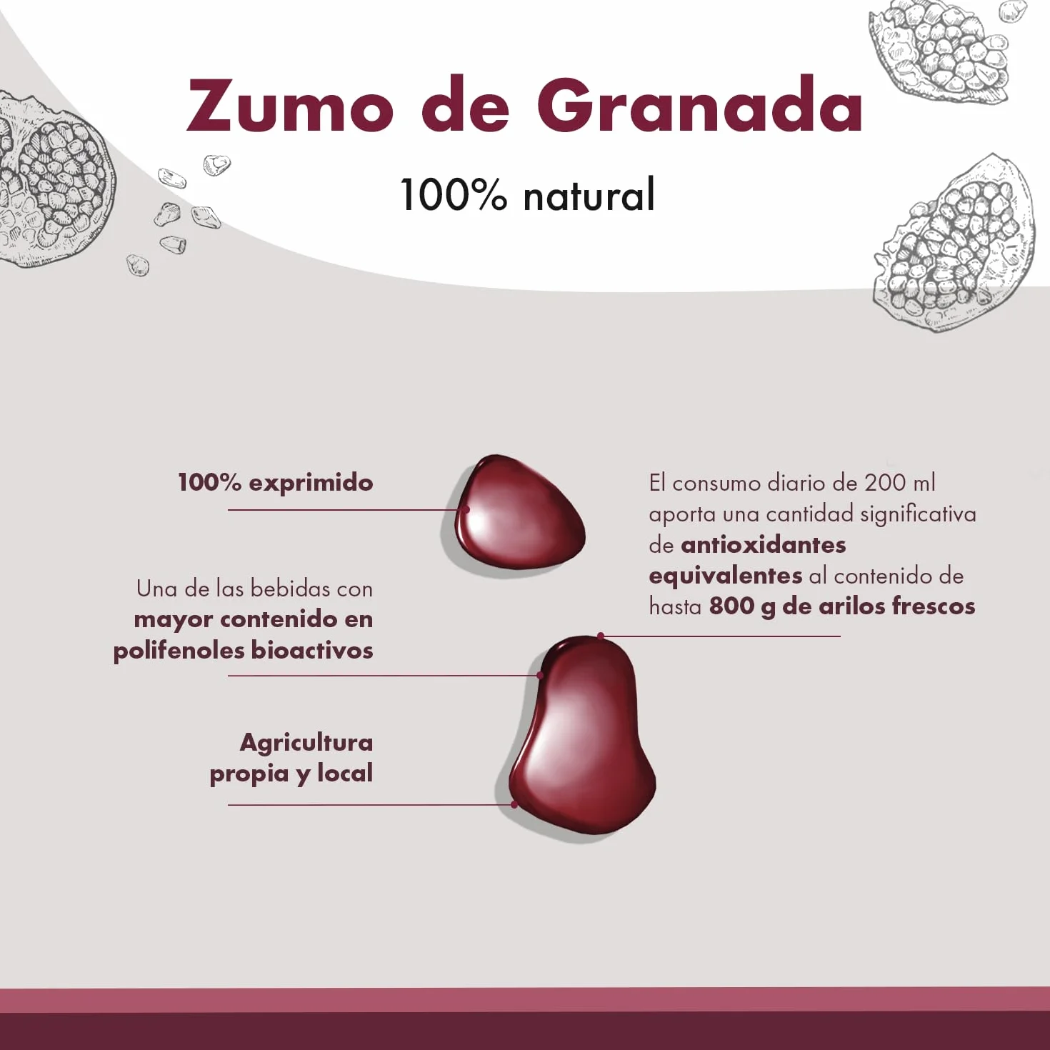 Granatum Plus - Lot de 6 bouteilles de jus de grenade naturel (750 ml), 100 % pressé, riche en polyphénols méditerranéens, sans sucre ajouté, sans colorants ni conservateurs