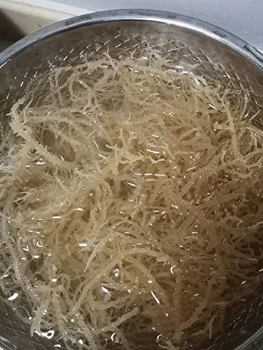 Seamoss, mousse de mer séchée, algues, vente en gros 500g