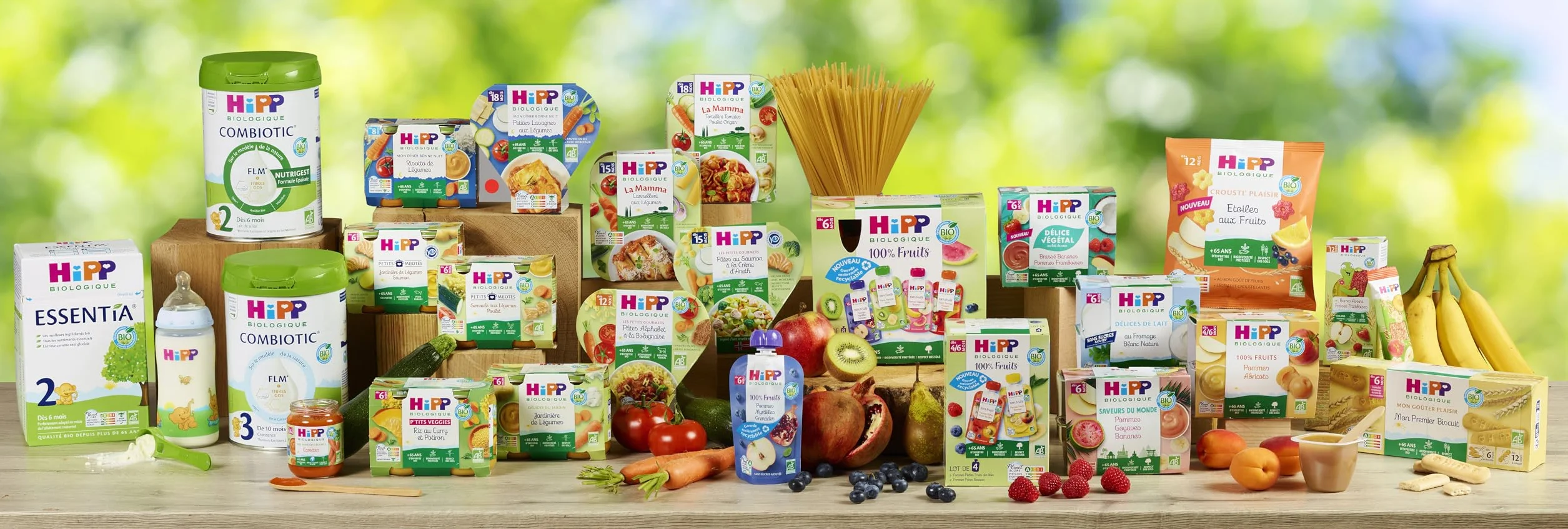 HiPP - Mon Dîner Bonne Nuit - Tagliatelles Epinards Fromage - Pots 2x250g - Lot de 6 - BIOLOGIQUE