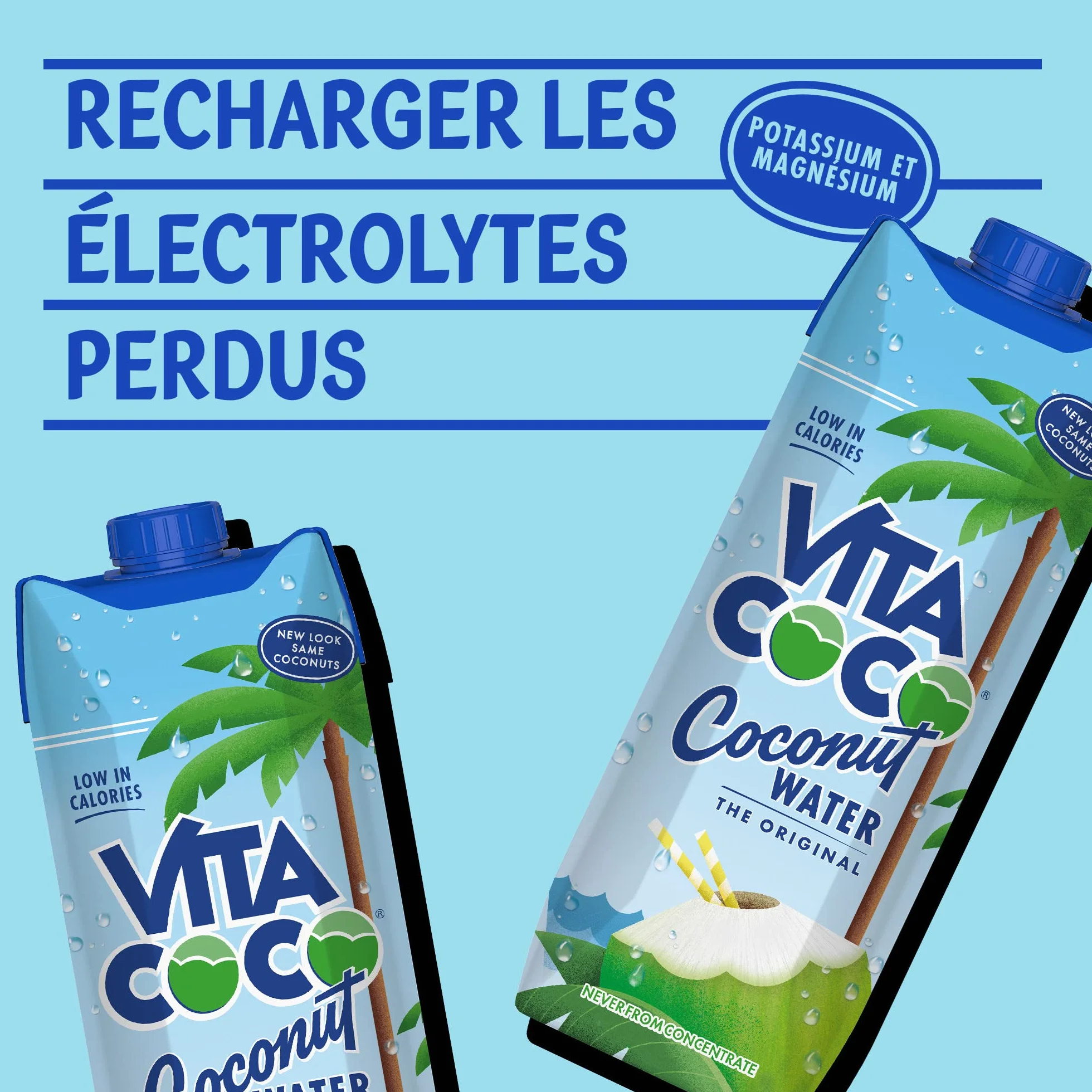 Vita Coco Eau De Coco Pur, Naturellement Hydratante, Remplie D'électrolytes, Sans Gluten, Plein De Vitamine C Et De Potassium, Noix de Coco, 1L, Lot de 12