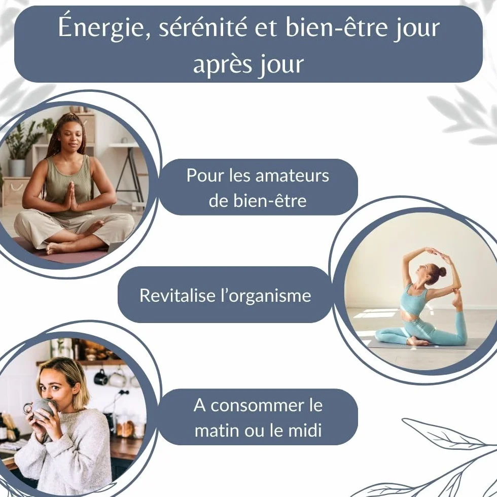 Matcha Bio Japonais - Poudre de Thé Vert Broyé en Vrac - Thé Traditionnel pour Dégustation Haute Qualité - 100% Naturel - Agriculture Biologique - Sachet 100 gr (50 Tasses)