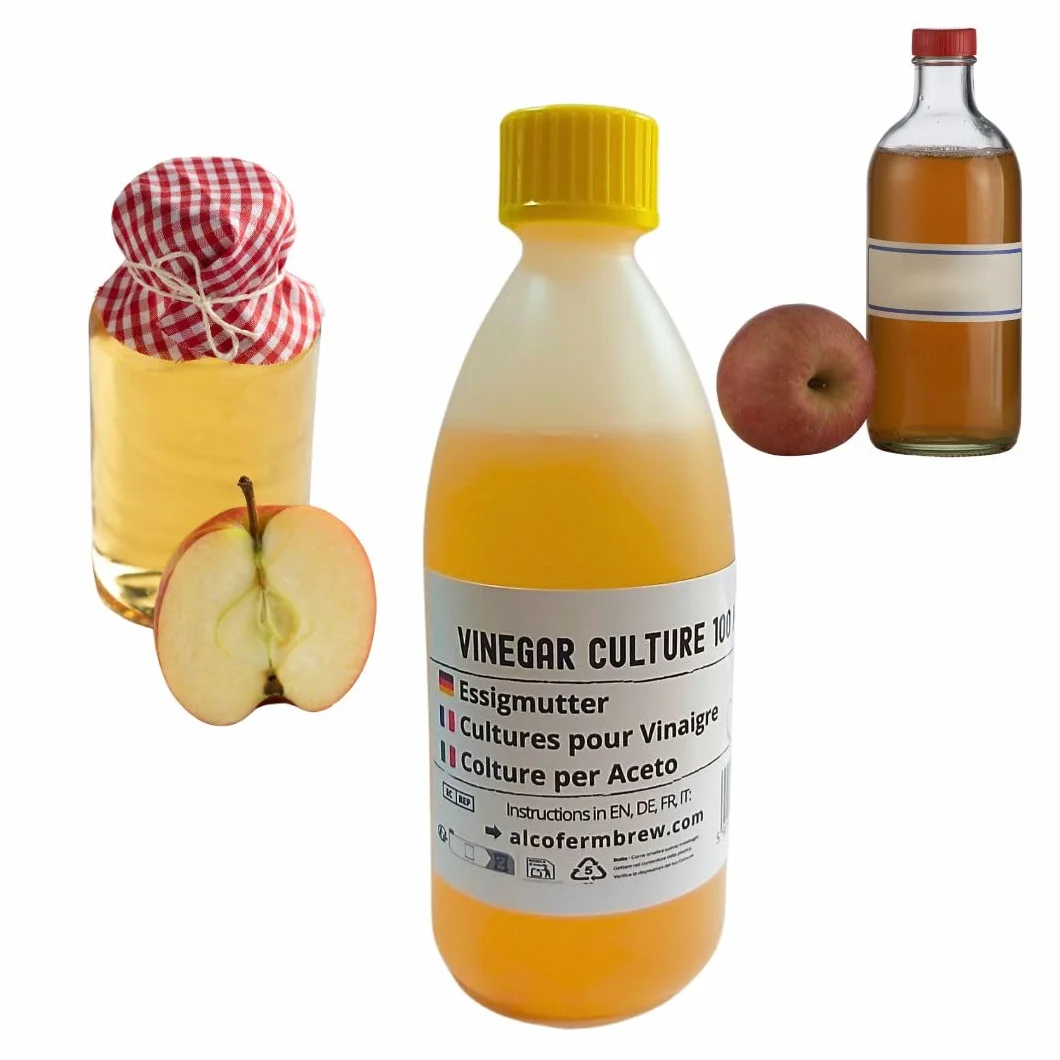 Mère de vinaigre 100 ml, Bactéries acétiques pour fermentation, Culture de fermentation maison, Acetobacter