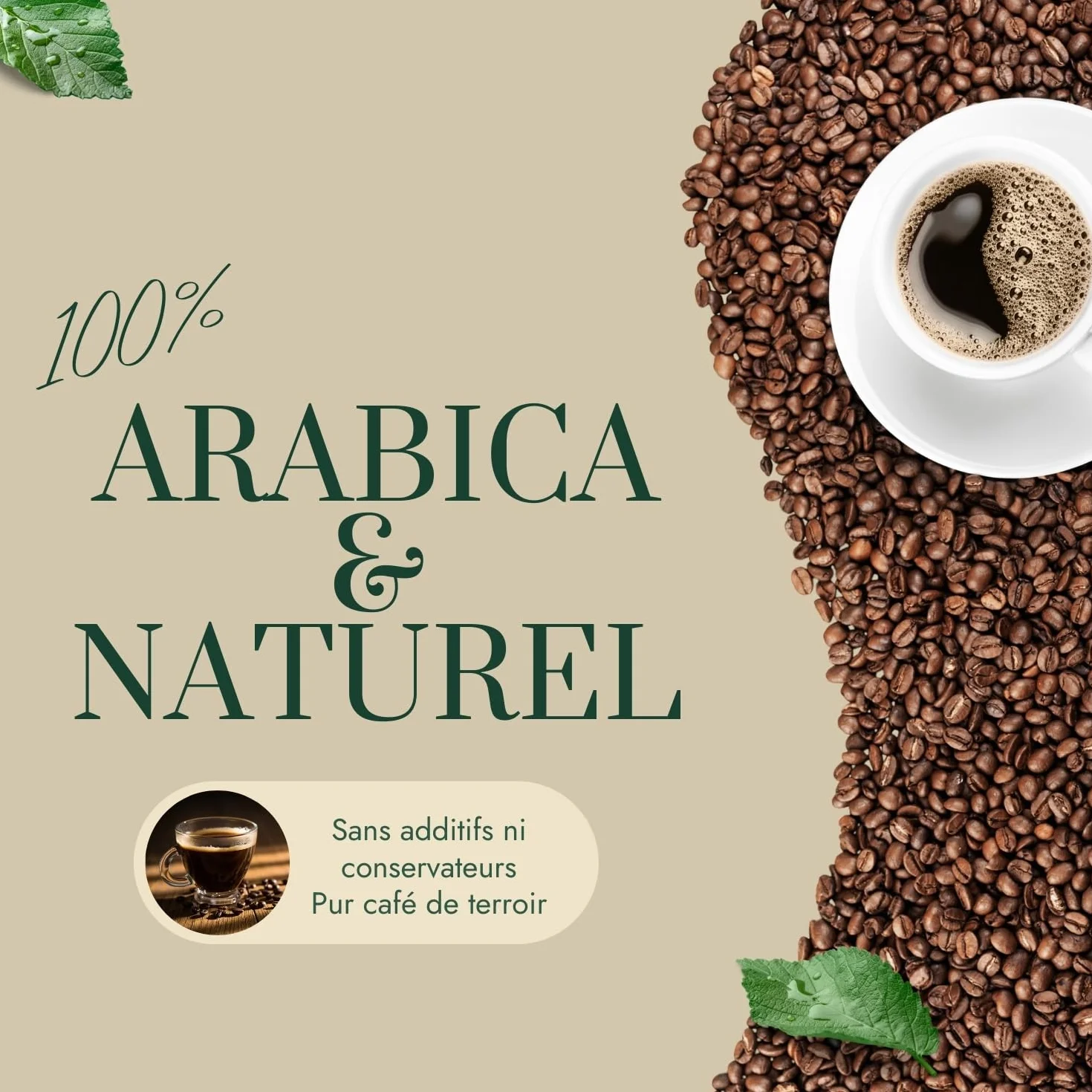 Café Vert en Grain Indonésie Java Jampit 1kg | 100% Arabica Non Torréfié | Café Brut à Torréfier Maison | Arômes Cèdre, Tabac, Épices | Idéal Machine à Cafe Grain