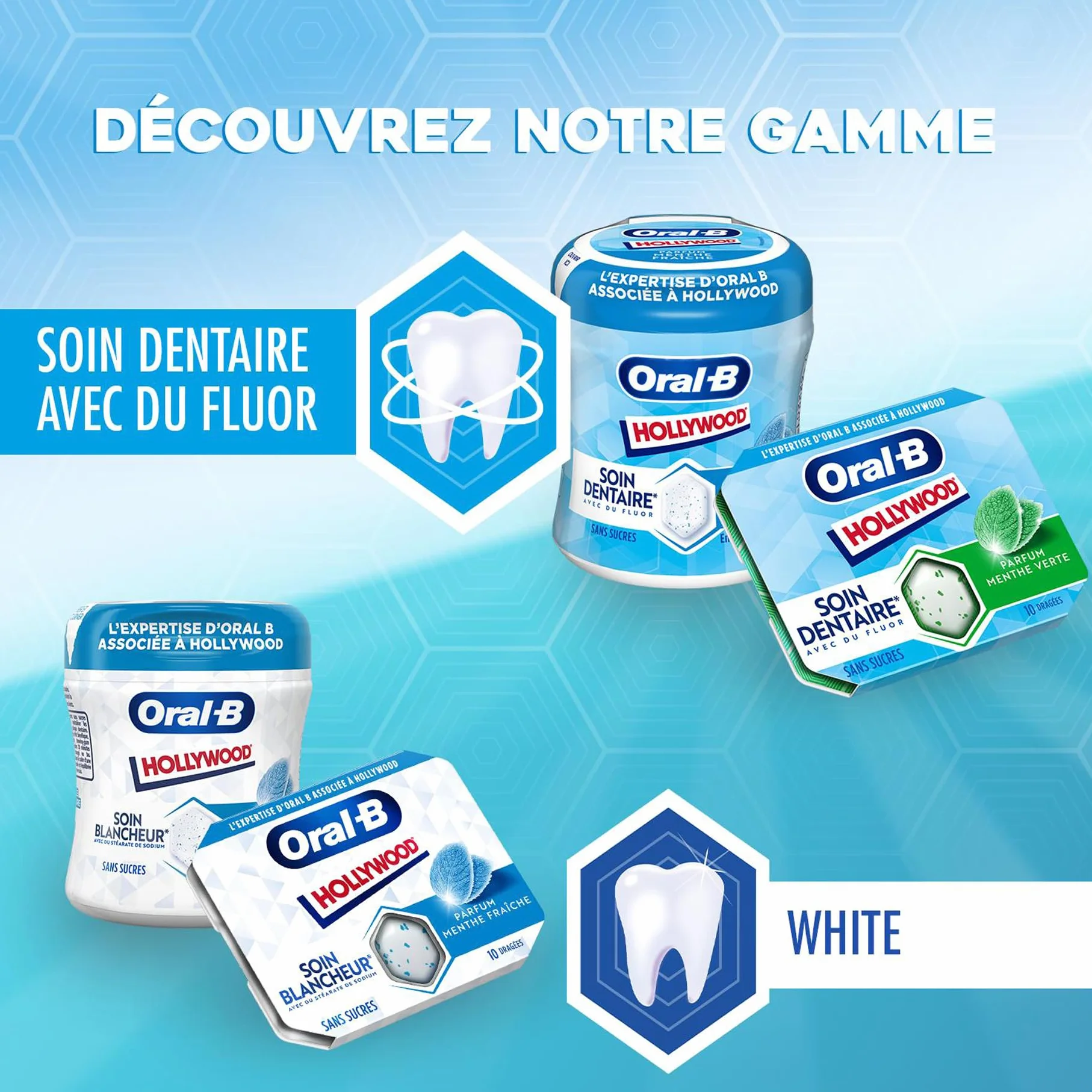 Oral B Chewing-Gum Sans Sucre Au Fluor Menthe Verte Soin Dentaire Lot de 12
