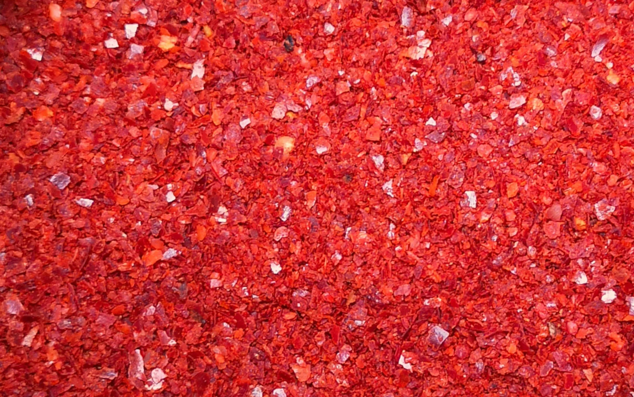 Wang Food Wang Poudre de poivre rouge 100 % 453 g