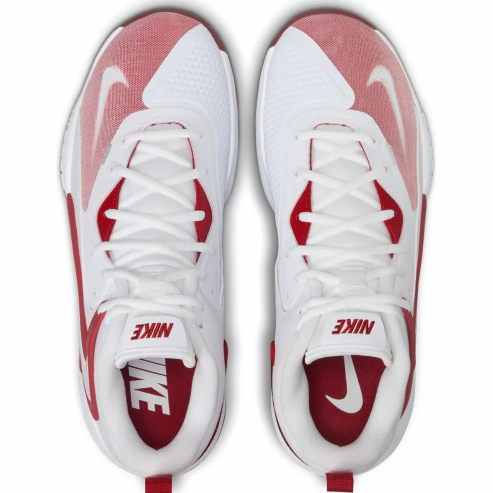Nike Chaussures de Volleyball Mixte