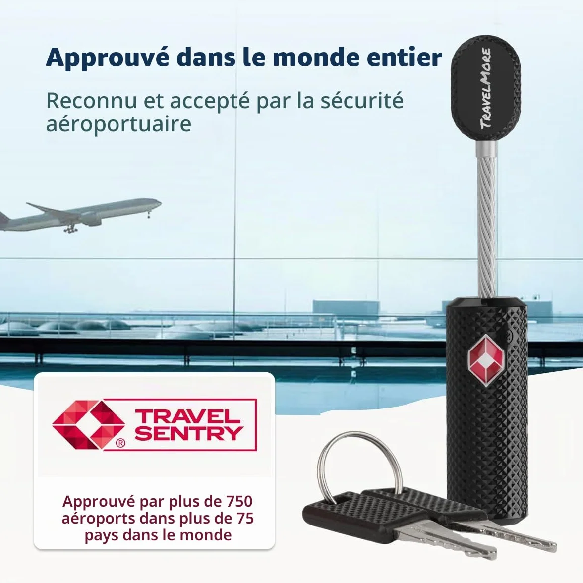 Lot de 4 Cadenas TSA à Clé pour Valise Antivol Bagages Voyage Noir