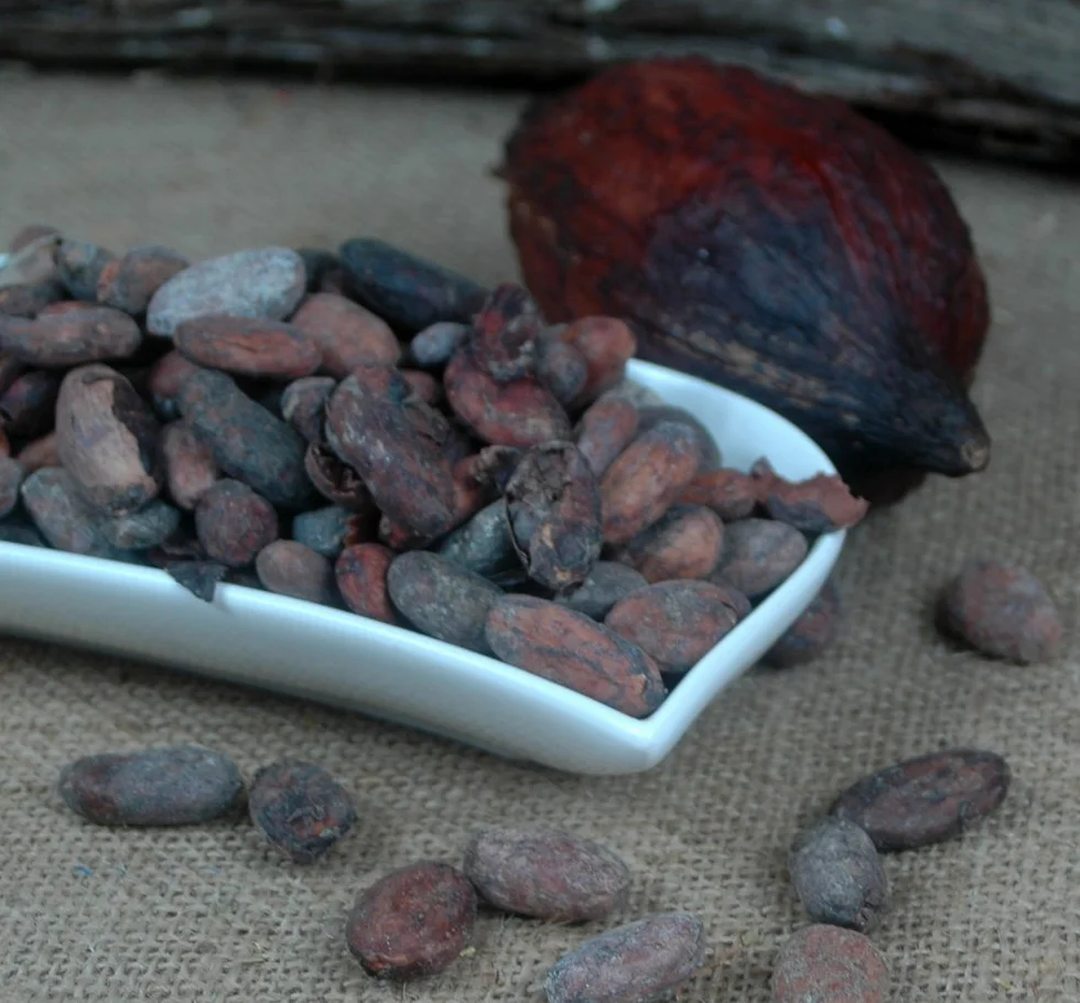 fèves de cacao Equateur non traitées 1 Kg