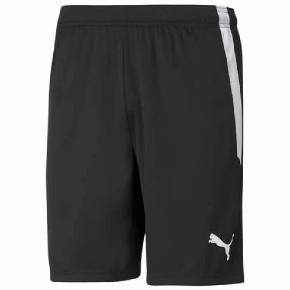 Puma Teamliga Shorts Homme Court Sport