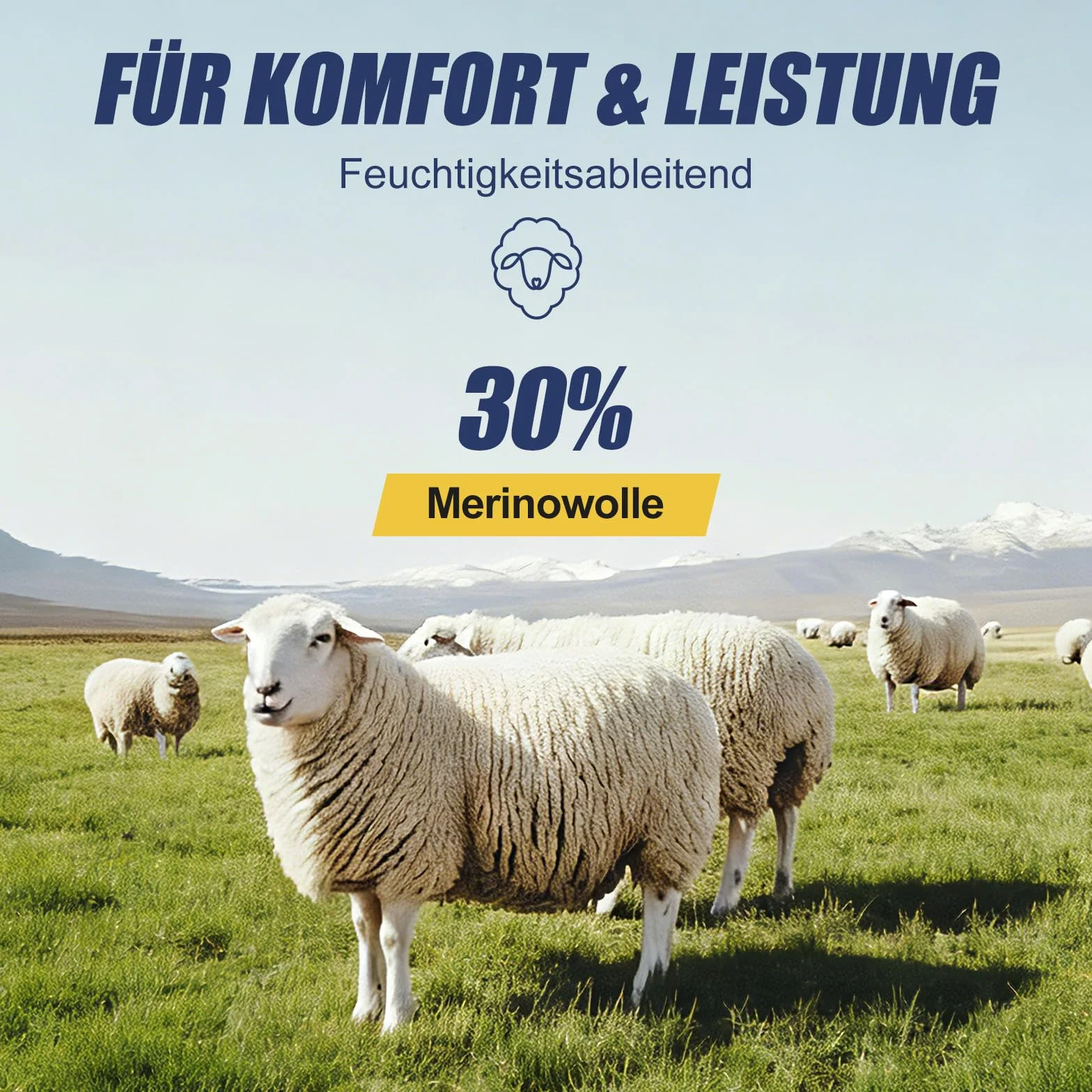 Niofind Lot de 6 paires chaussettes randonnée laine mérinos homme femme respirantes rembourrées courtes