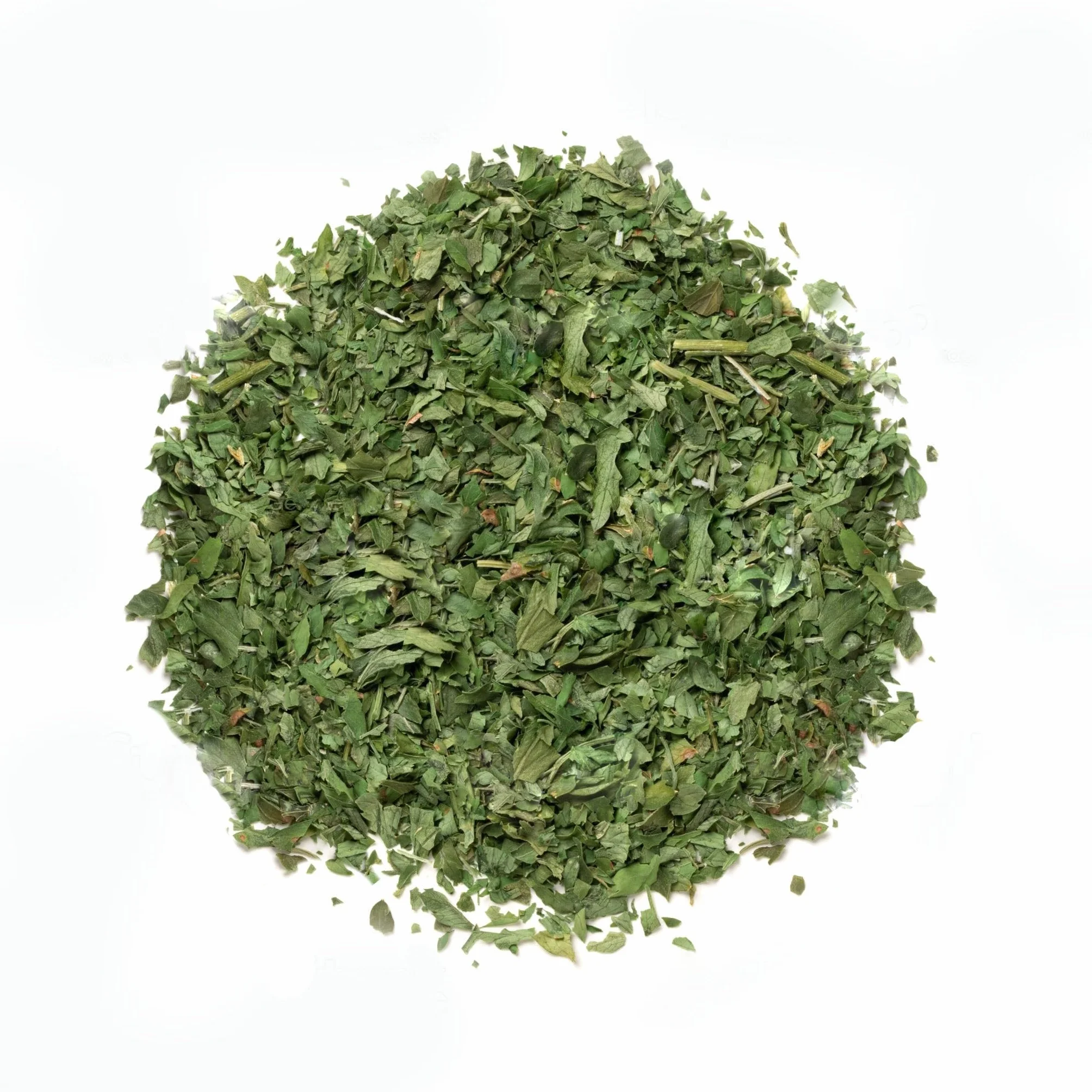 Coriandre en feuilles en sachet économique de 500 grammes