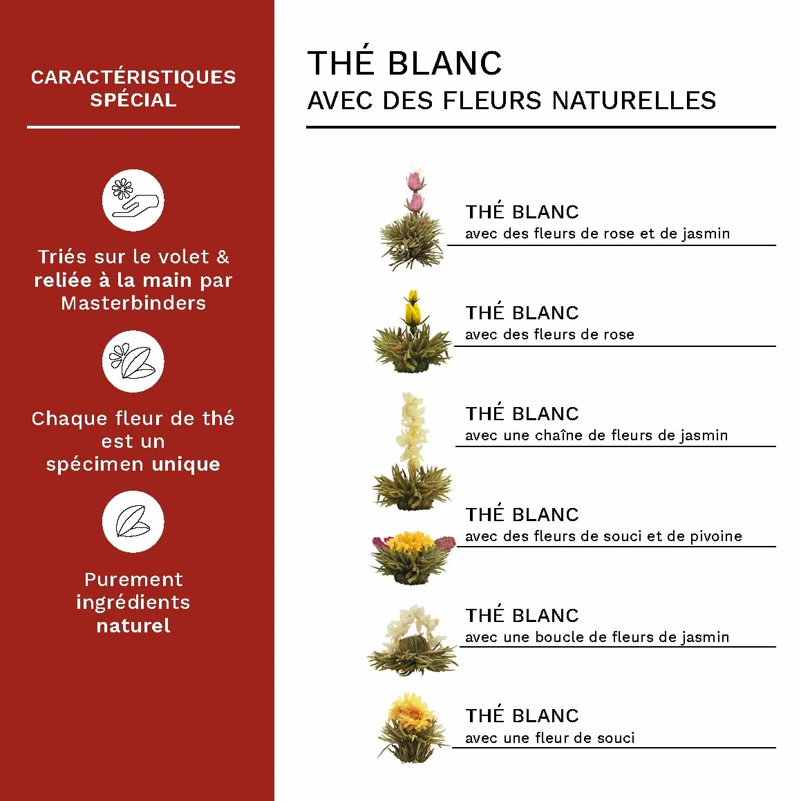 Creano – Coffret Fleur de Thé 6 pcs + Théière verre 500 ml sans goutte + 2 Tasses de thé 200 ml soufflées à la bouche – 6 variétés de thé blanc, idée cadeau – Thé en Fleurs