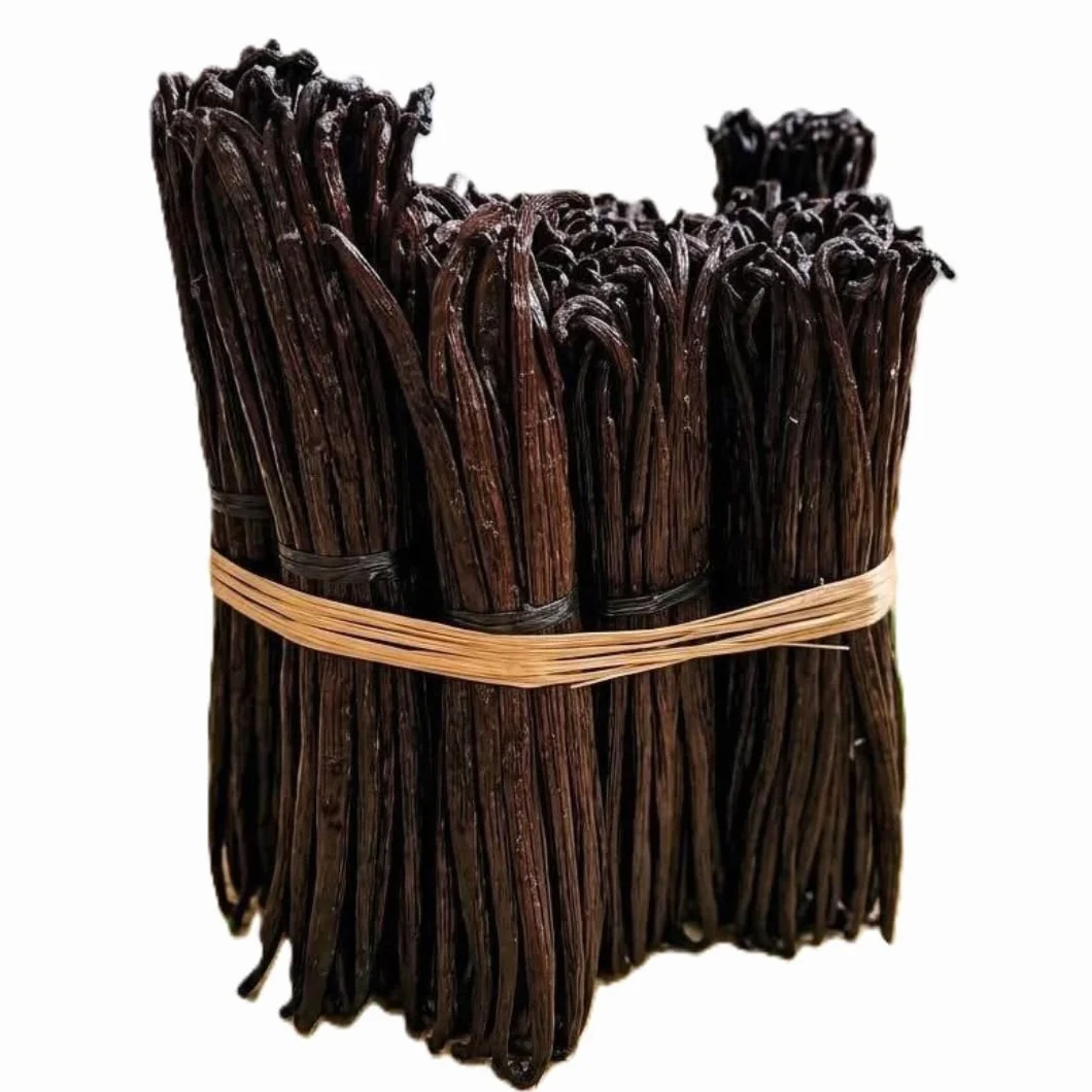 TerraVanilla Vanille de Madagascar Gourmet - Gousse 17-19 cm - 50 Gousses - Qualité Bourbon