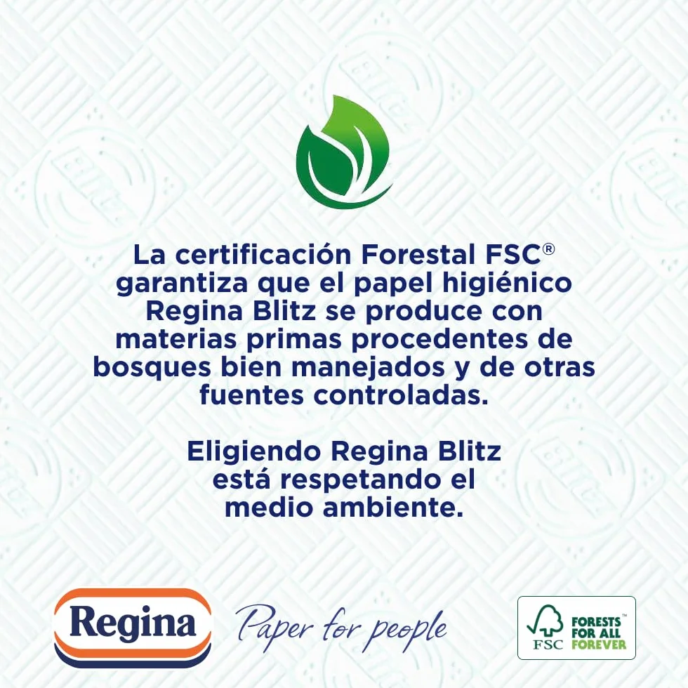 Regina Blitz Lot de 5 rouleaux de papier de cuisine 100 feuilles maxi à 3 couches Idéal pour nettoyer les surfaces domestiques Sans peluches Emballage en papier recyclable