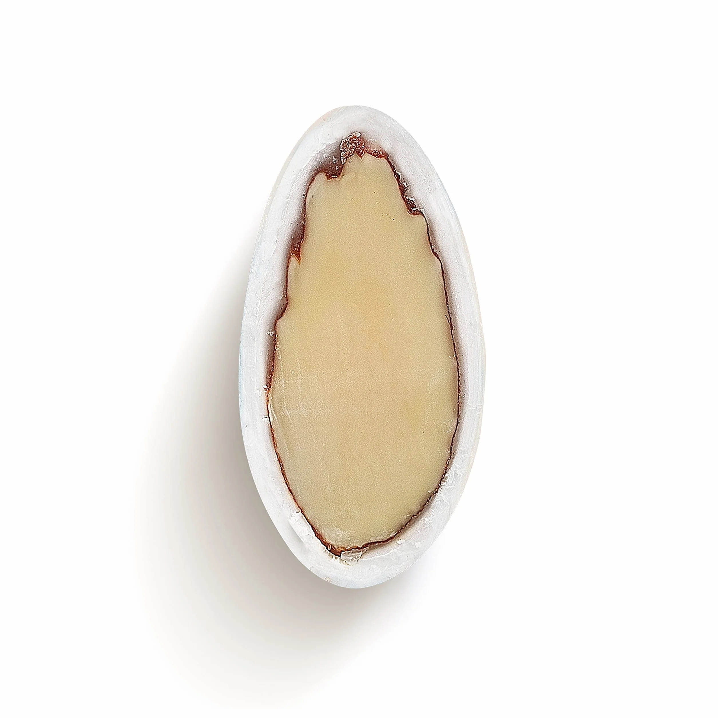 EinsSein Dragées Mariage Amandes 1 kg – Environ 280 Pièces Conchiglia Blanc & Or Brillant