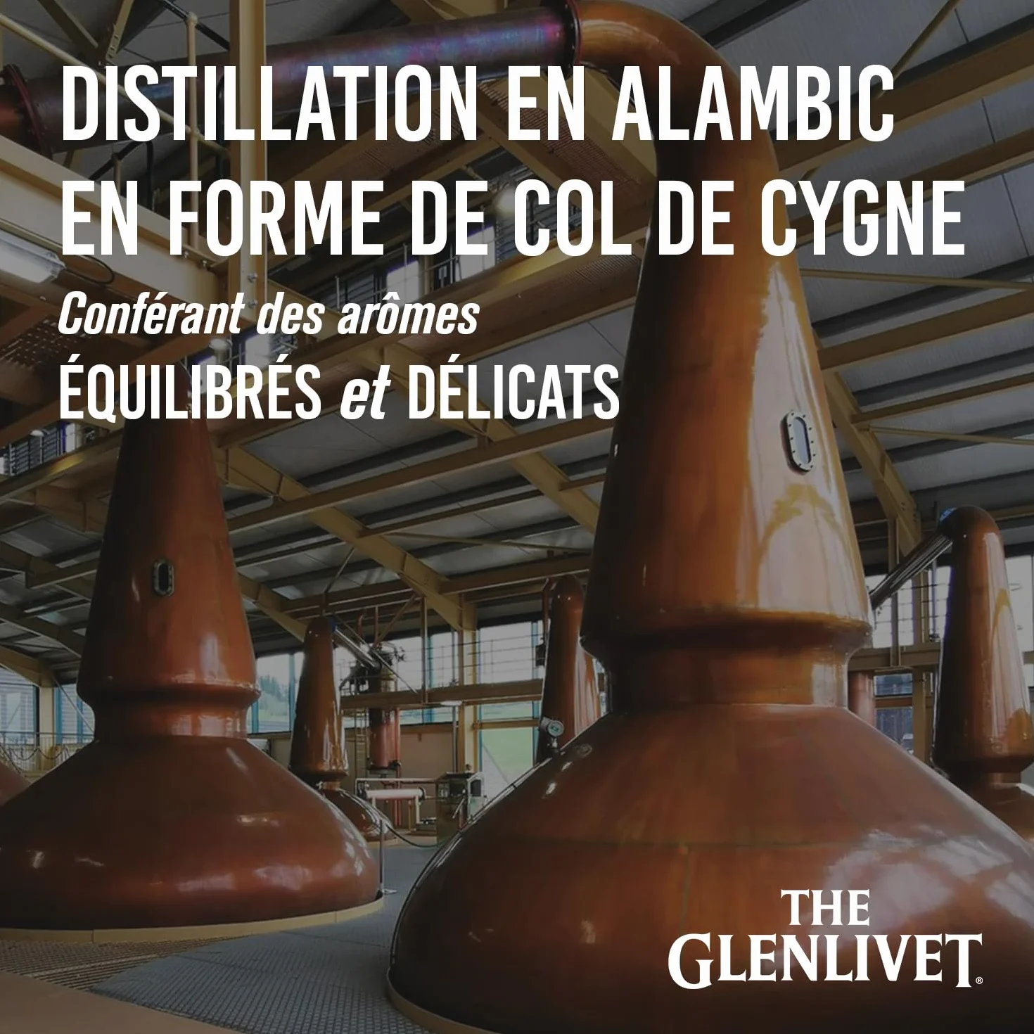 THE GLENLIVET Founder's Reserve Whisky Ecossais Single Malt - 40%, 70cl