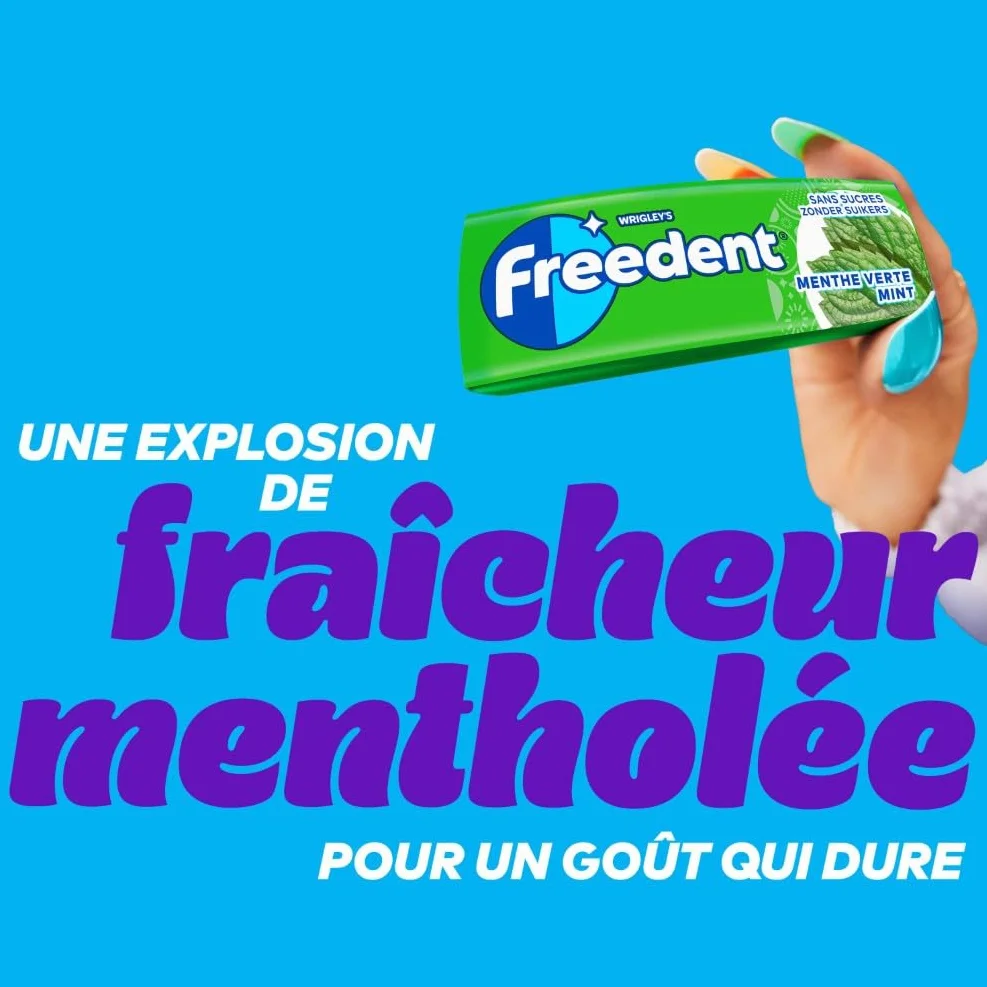 FREEDENT Chewing Gum Sans Sucre Goût Menthe Verte 5 Paquets 70g