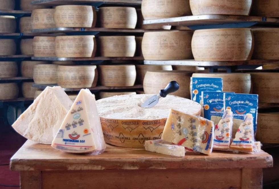 Fromage à pâte dure, Trentingrana - Fromage à pâte dure min. 22 mois (400 g)