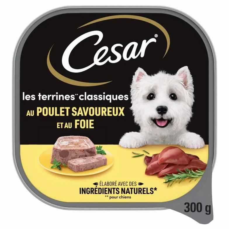 Délice de Cesar: Pâtée pour Chien au Poulet en terrine 300g | Recette Savoureuse & Équilibrée | Nourriture Canine de Qualité - Le Lot De 4