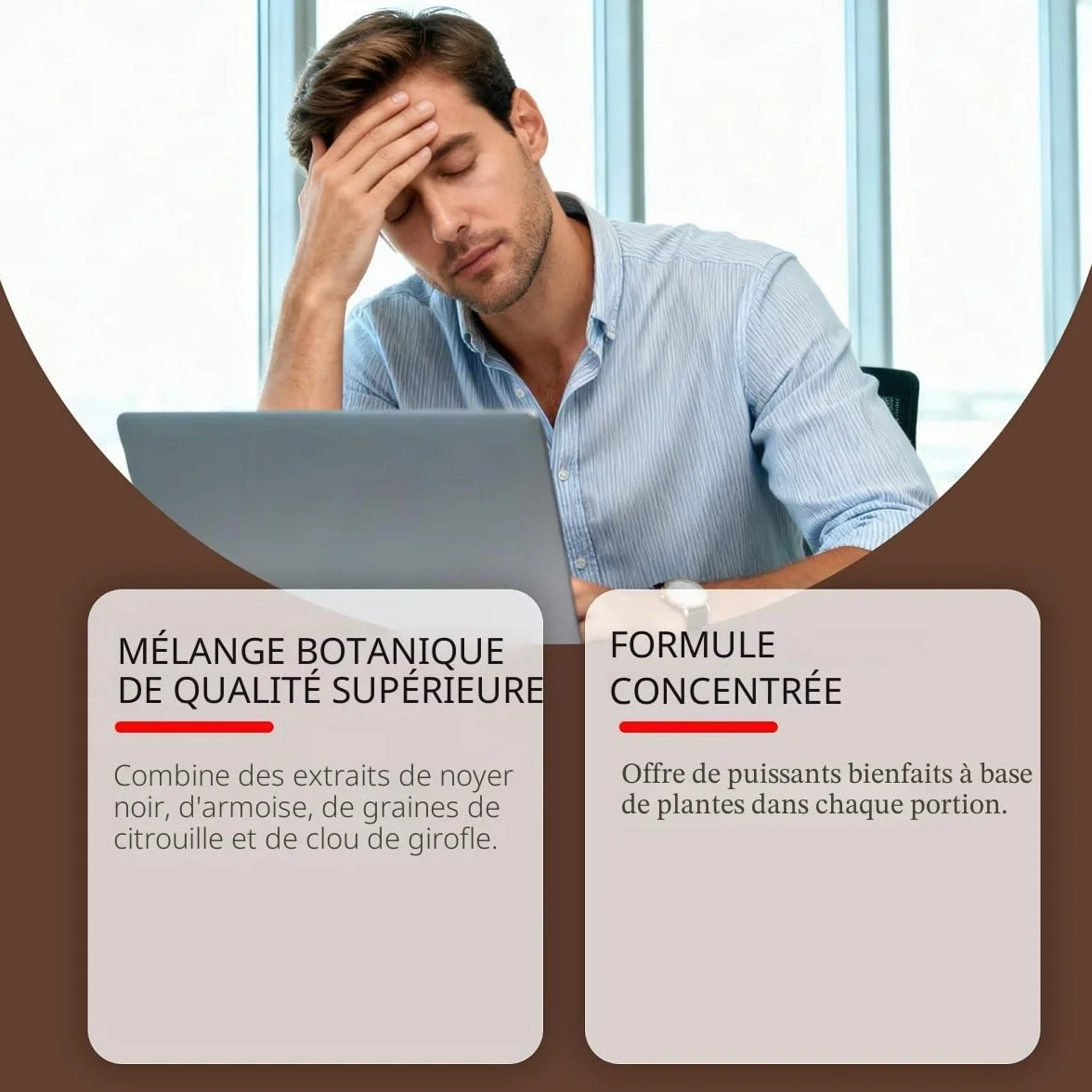 Absinthe Noyer Noir Clou de Girofle—Soutien à la vitalité│Convient aux hommes et aux femmes│240 unités,1pcs