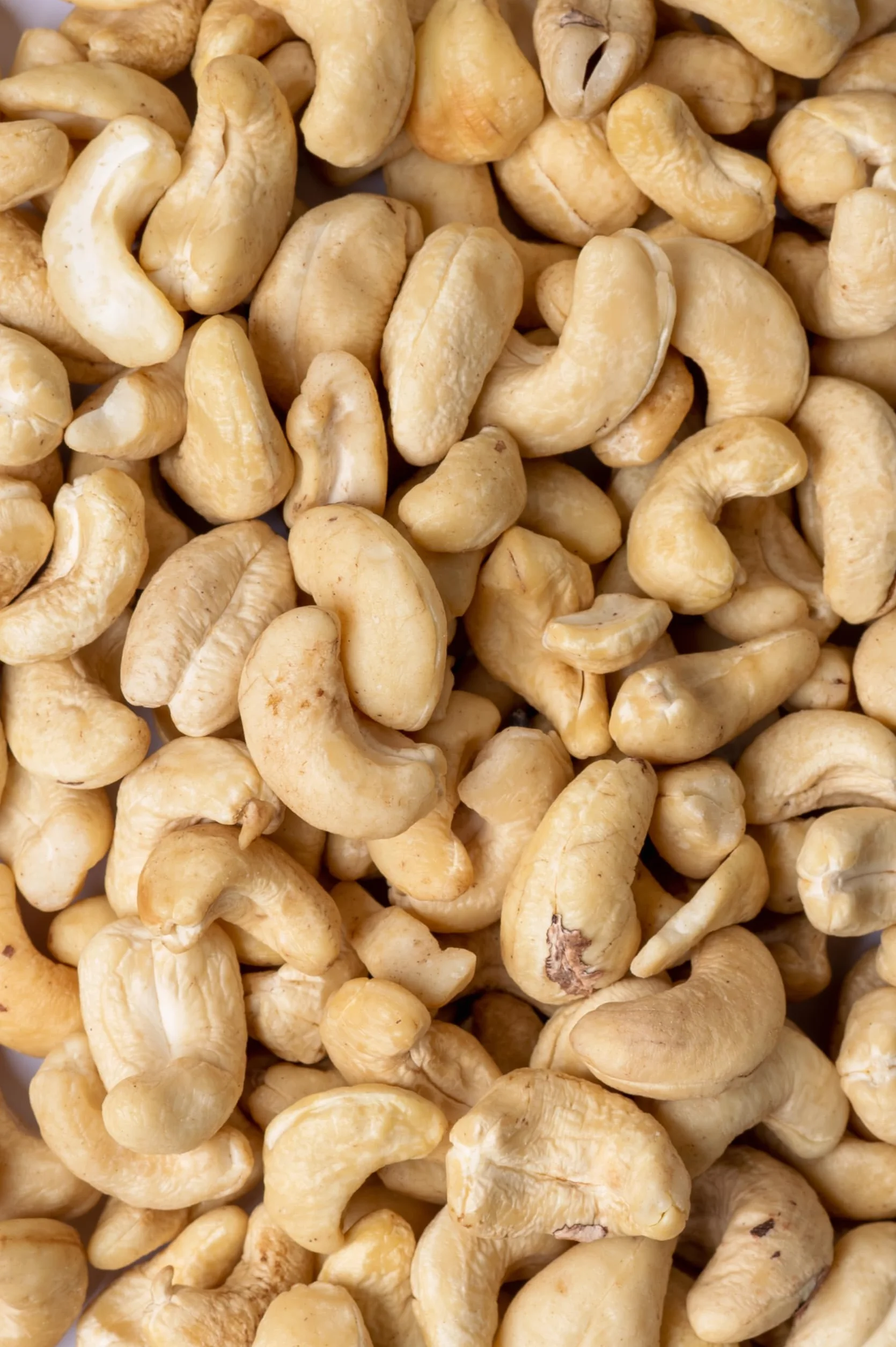 Biojoy Noix de cajou crues BIO (1 kg), entières et non salées