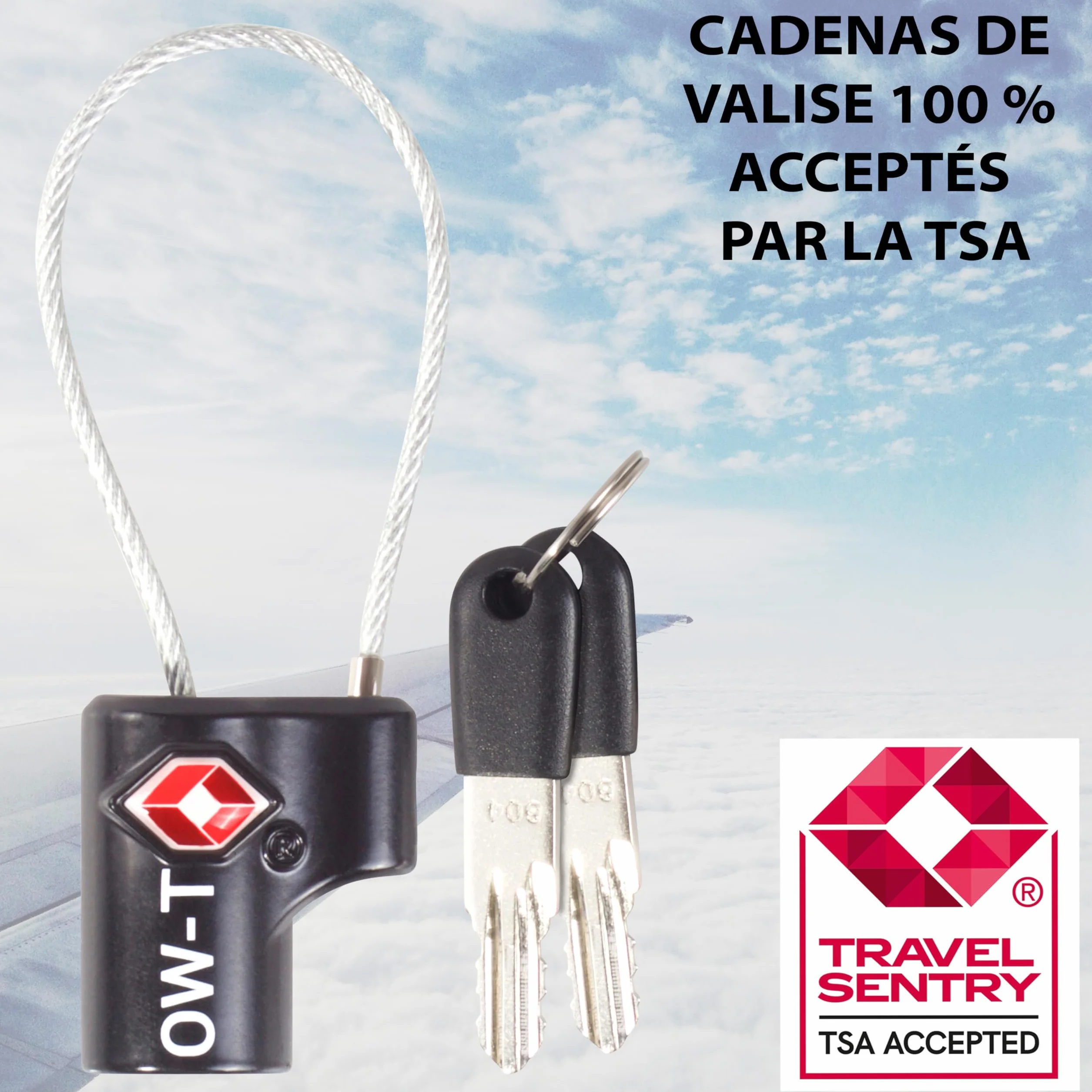 Cadenas Cable Clé Antivol pour Bagages Valise Avion TSA (2 Pcs Noire)