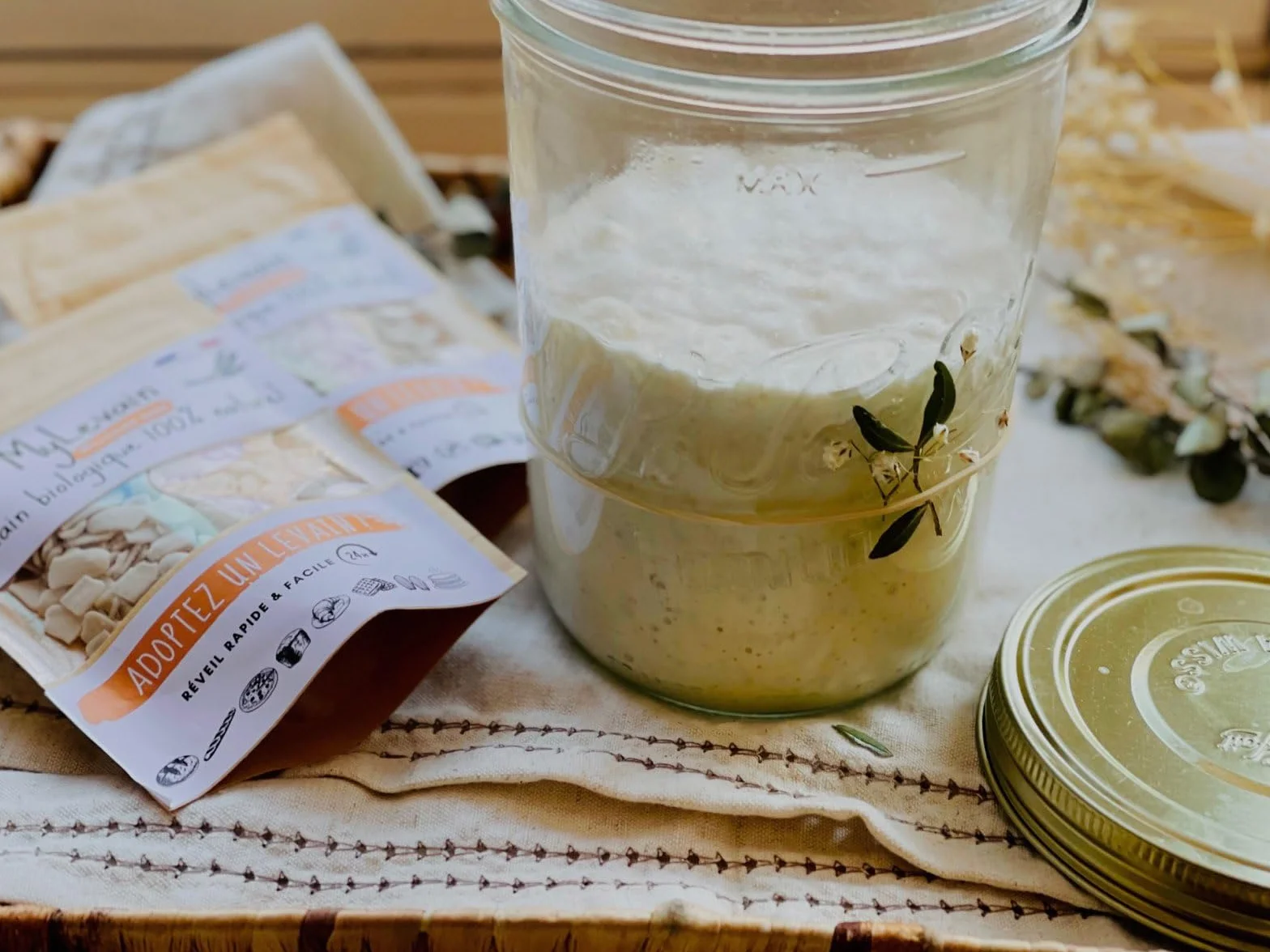 MYLEVAIN Levain Biologique Naturel Français Vivant (Millésime 2009) - Réveil rapide 24H