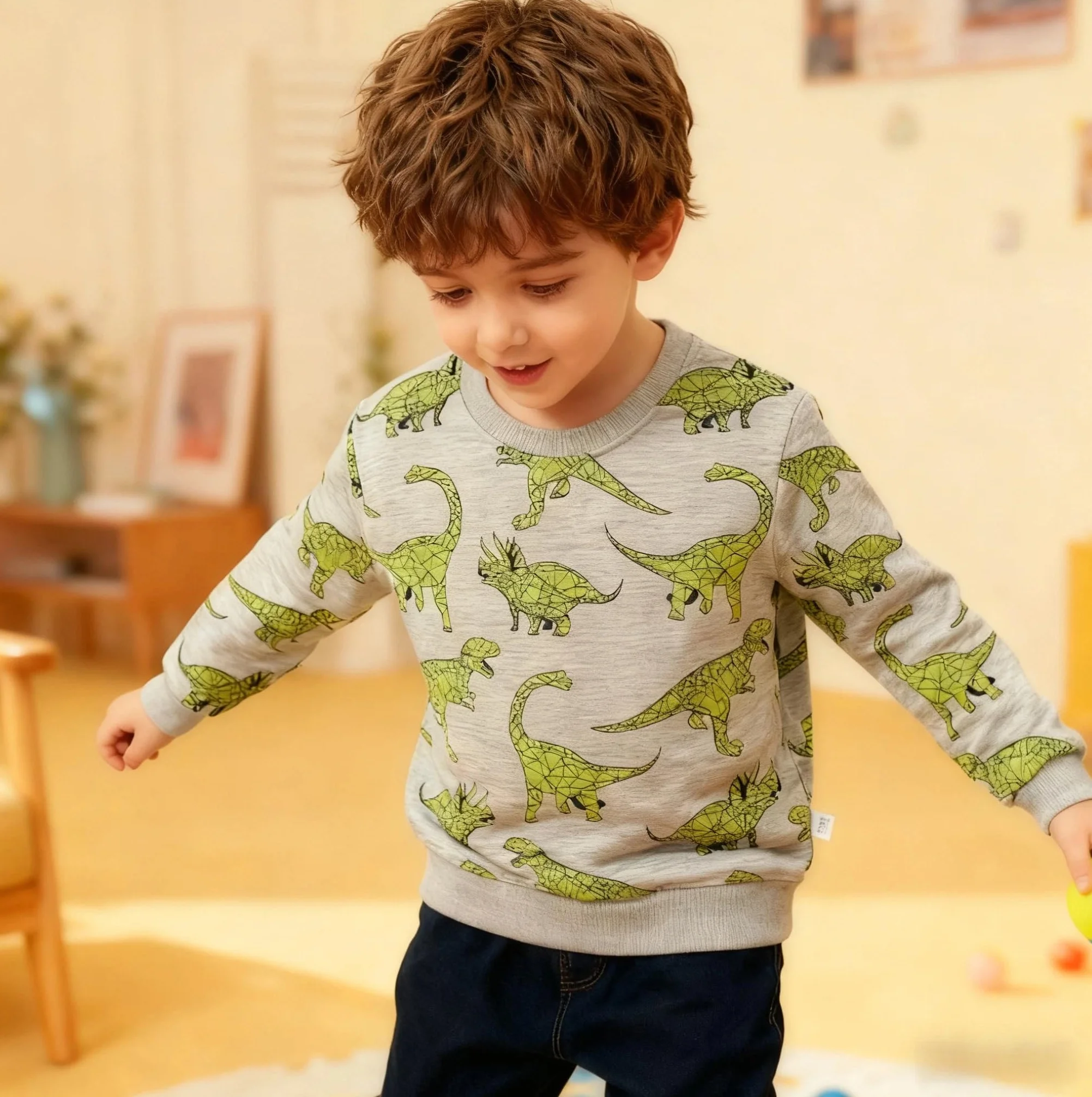 Sweatshirt Garcon Pull Enfant Dinosaure Manches Longues Coton 2-7 Ans