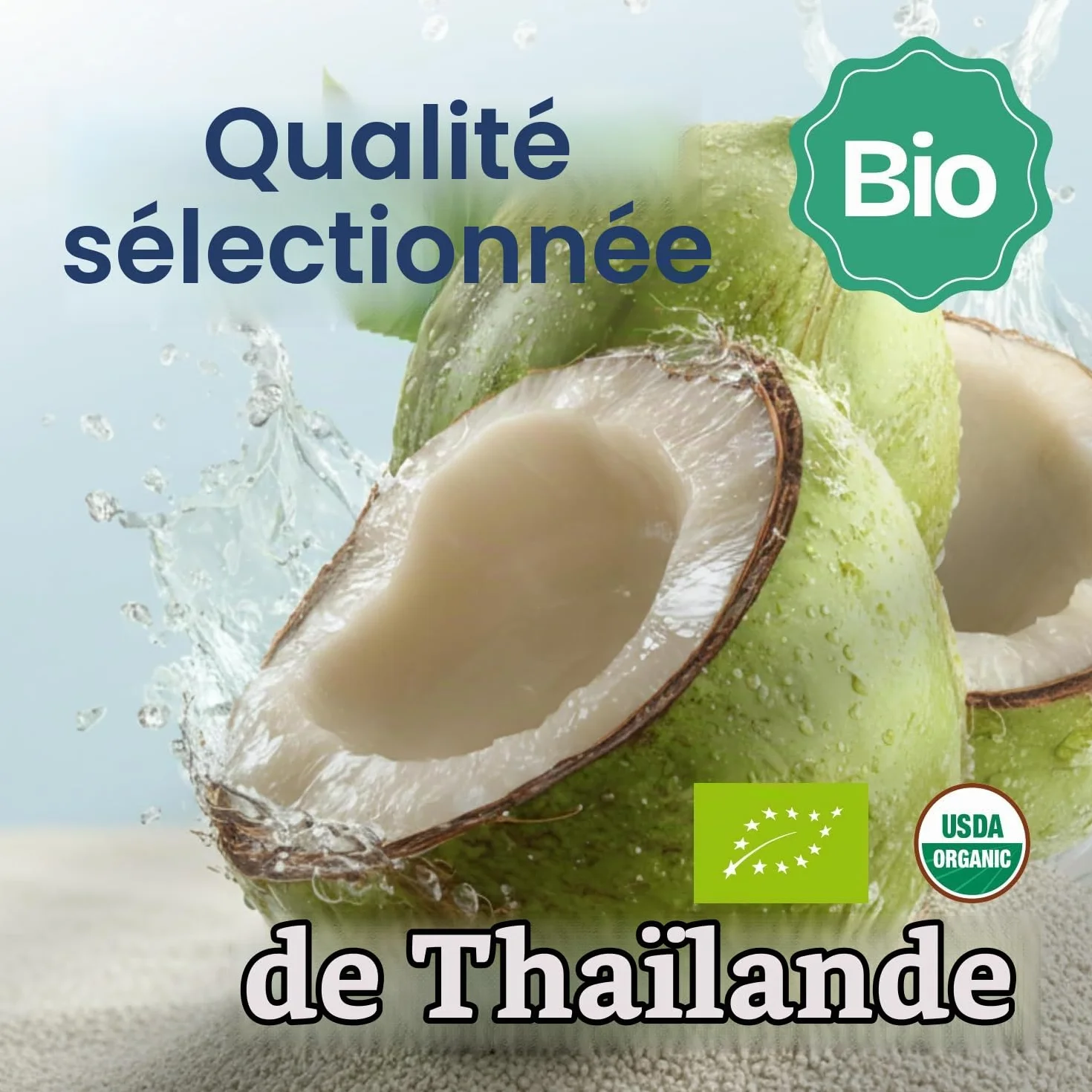 Thai Coco 100% eau de coco bio – Rafraîchissement naturel de Thaïlande – Certifiée biologique, sans sucre, sans ajout de conservateurs, 6 x 1 L Tetra Pak – Goût frais de noix de coco biologiques