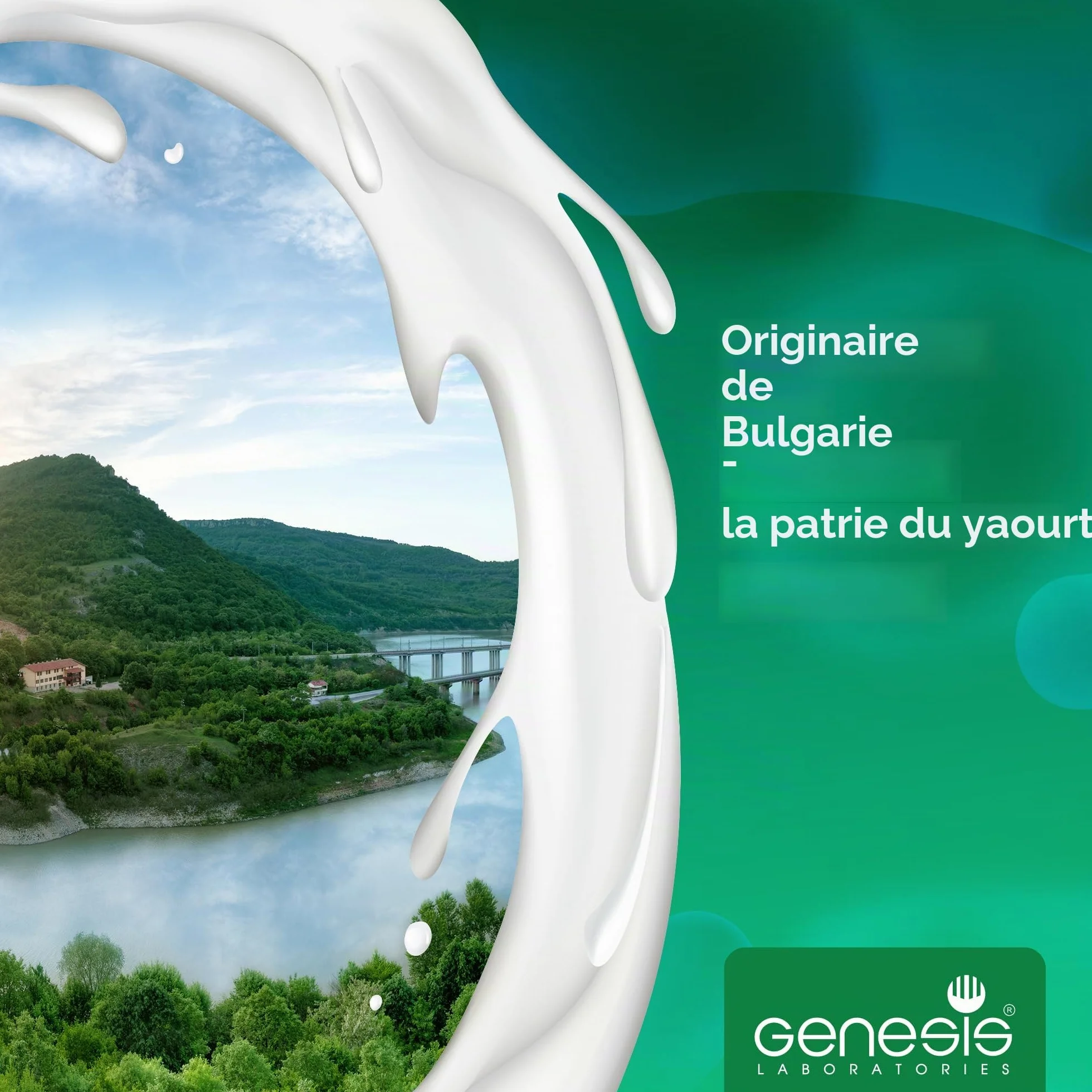 Culture de départ végétalienne pour le yaourt maison végétalien 10 sachets pour 10l de produit