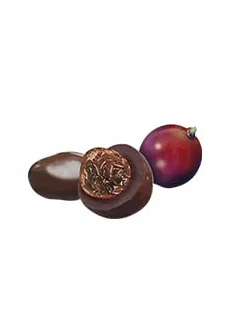 Raisins Secs Enrobés de Chocolat Noir - Raisins Moelleux et Chocolat de Qualité - Sac de 1kg
