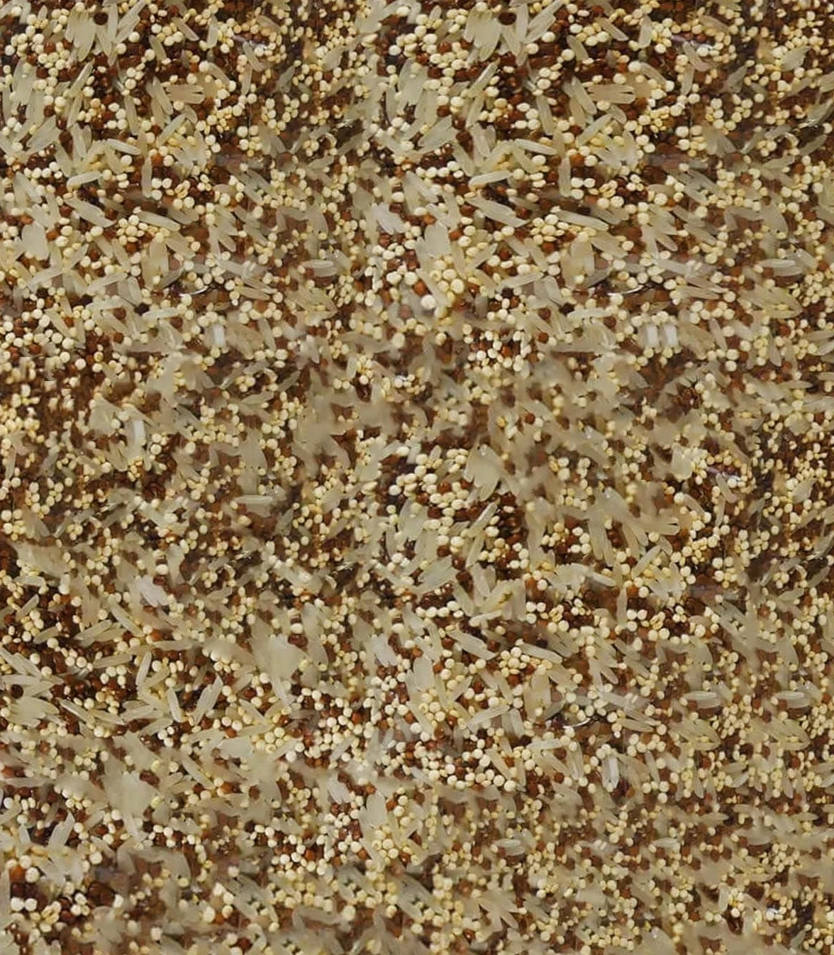 Sabarot - Mélange riz des deux mondes 400g