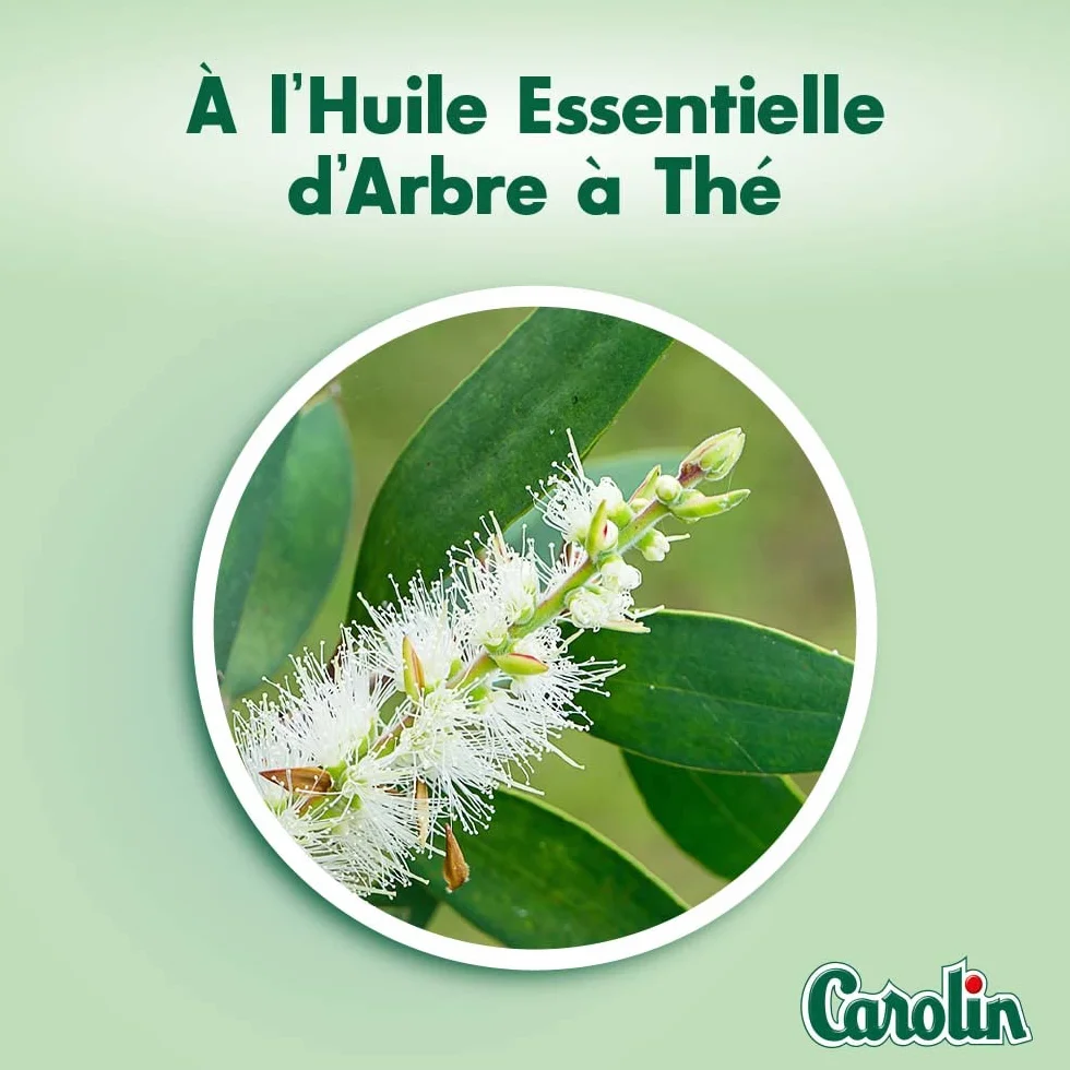 Carolin Lingettes Anti-Bactériennes à l'Huile Esssentielle d'Arbre à Thé, Sans Javel x80
