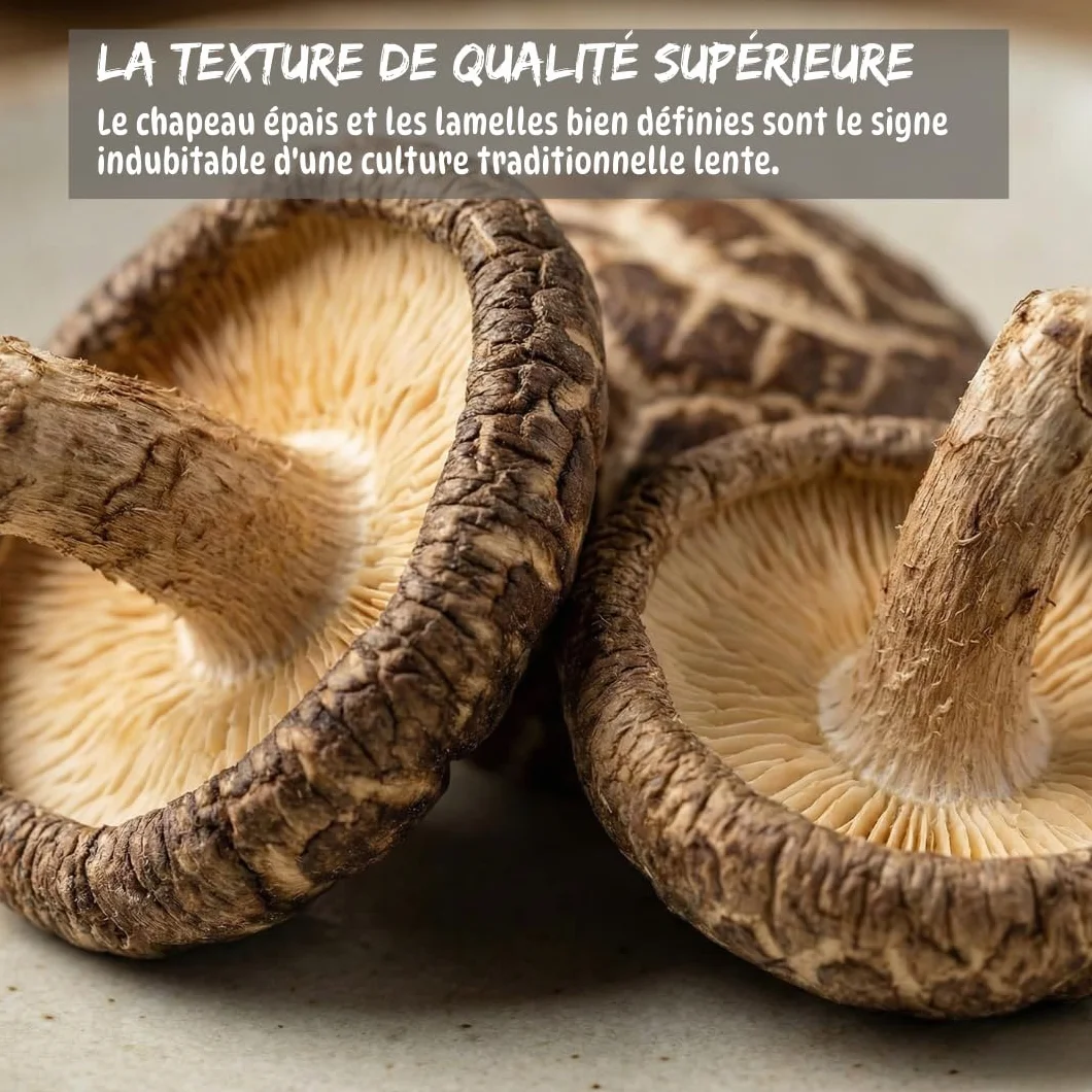Umami Champignons Shiitake BIO Japonais 50g - Séchés Naturellement - Origine Kyushu, Japon - Qualité Premium pour Ramen, Soupes et Risottos - 100% Naturel