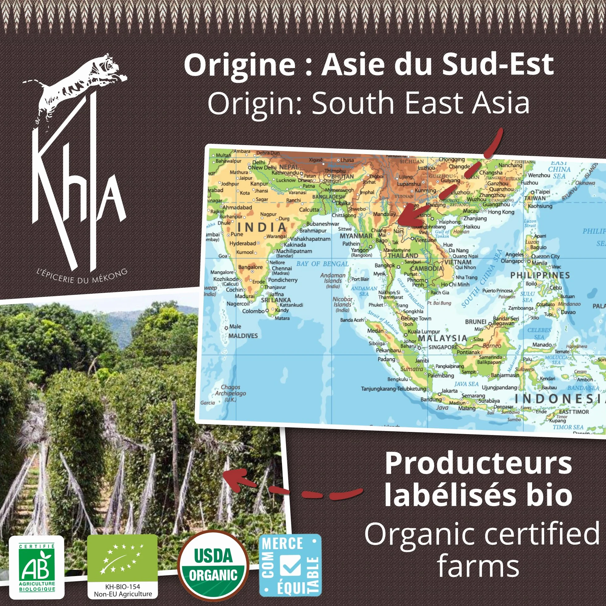 Khla - Coffret 4 Currys Bio - Curry Jaune, Curry Noir, Curry Rouge & Curry Vert Détox - Tubes Poudre 4x 100 g - Coffret Idée Cadeau - Mélanges Exclusifs Cuisine - Épice d’Asie - Origine Cambodge